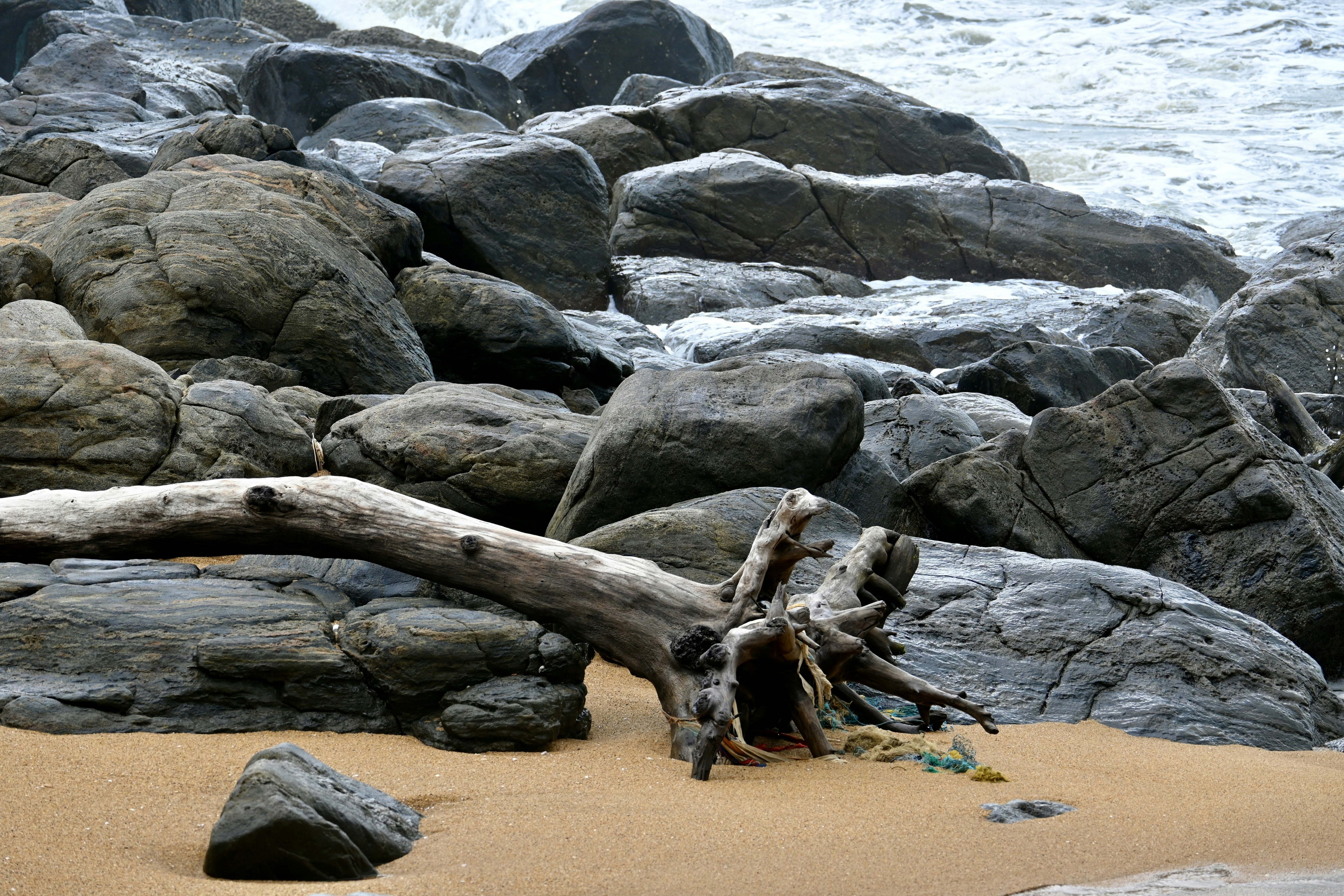 Un tronco sdraiato in cima a una spiaggia sabbiosa