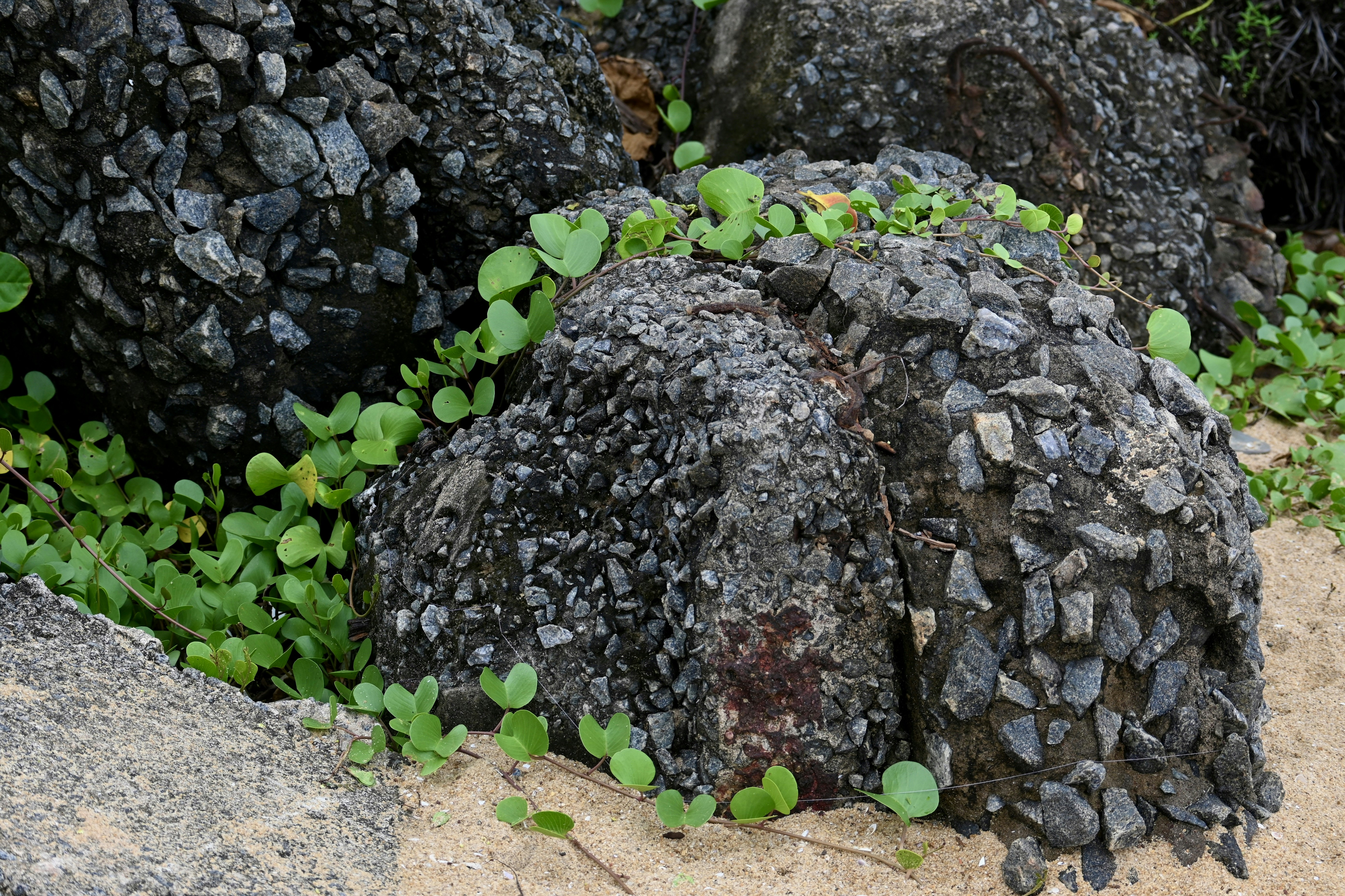 Photo by praswinprakashan