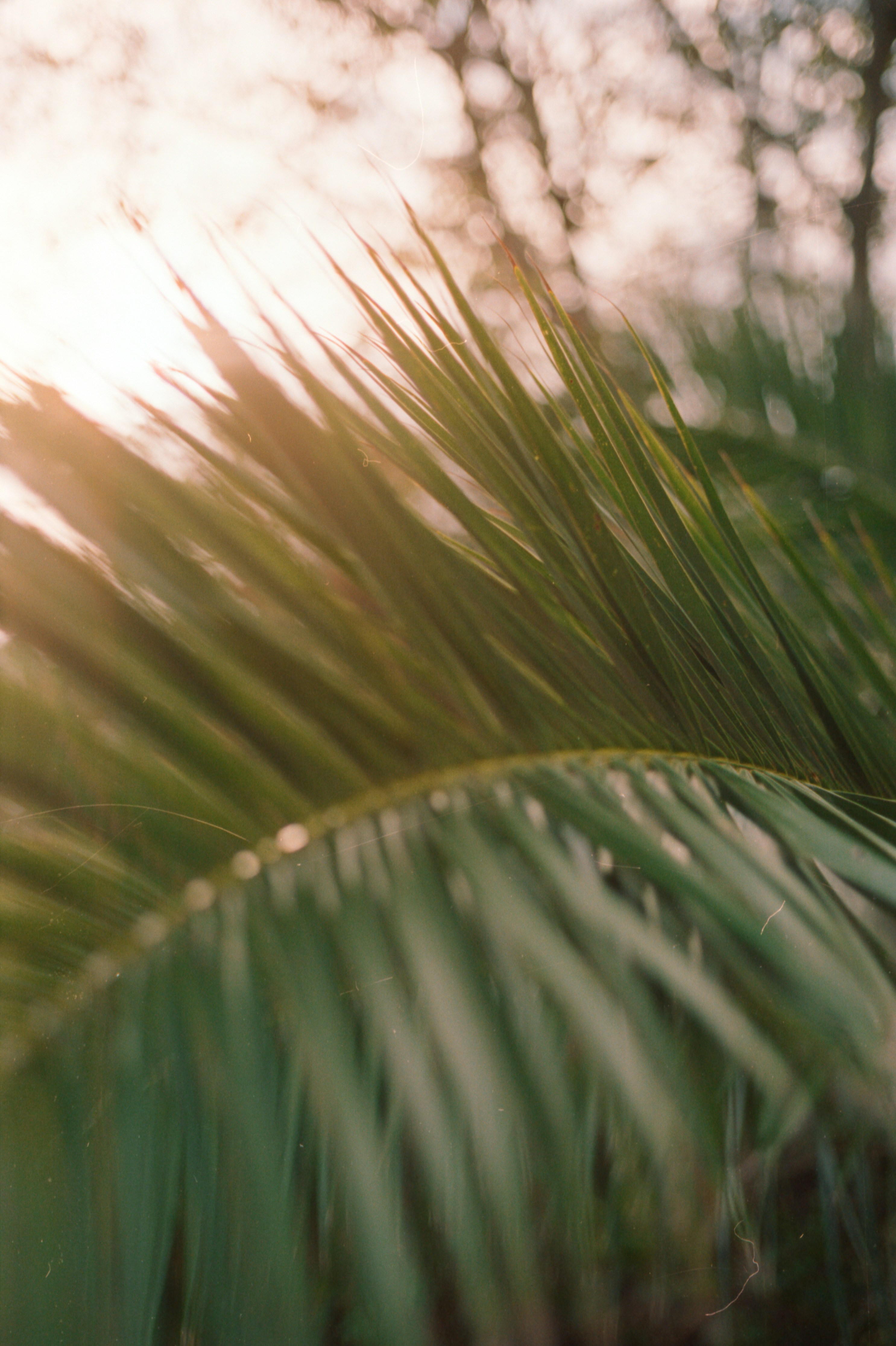 Photo by raymondpetrik