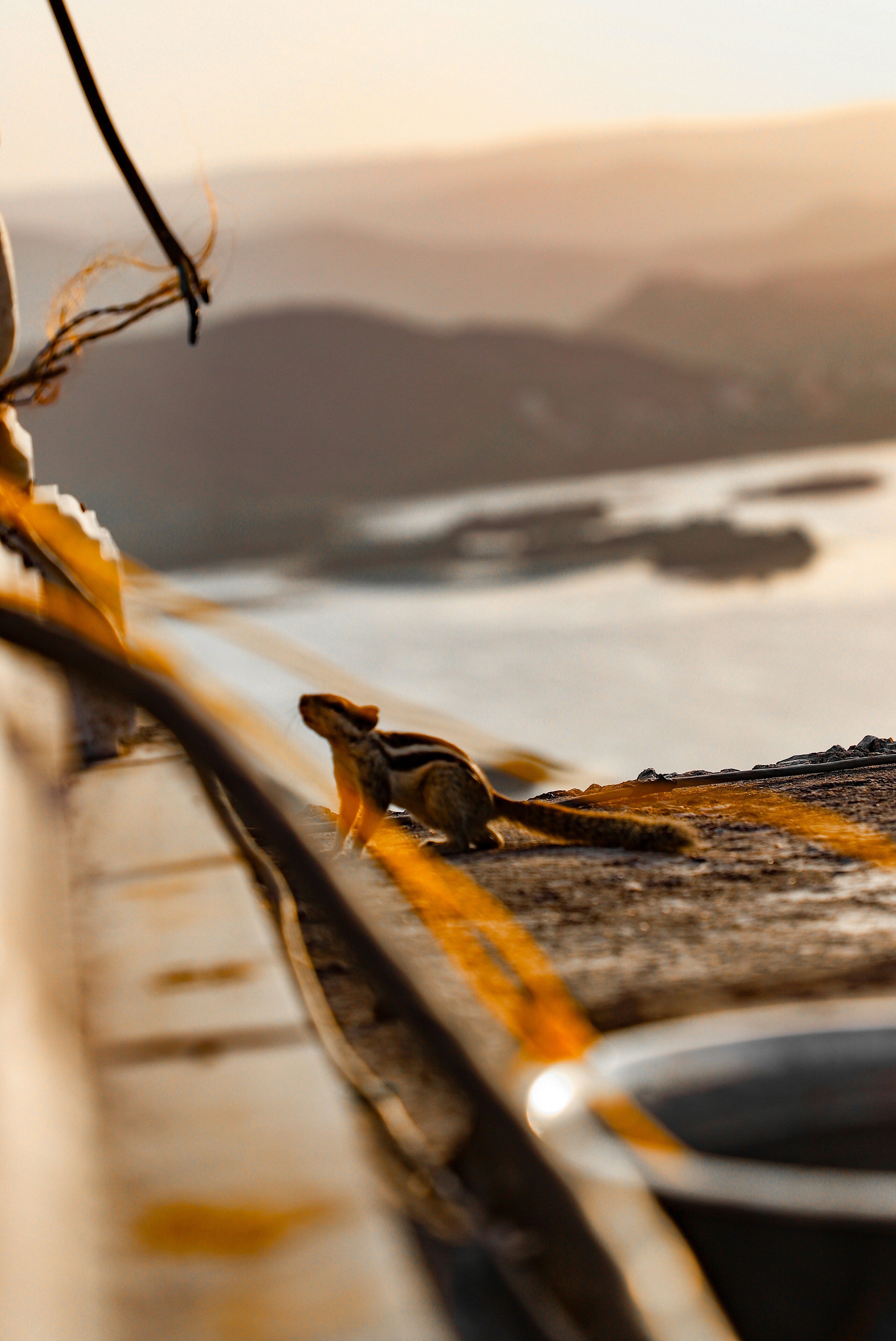 A close up of a yellow line on the side of a boat