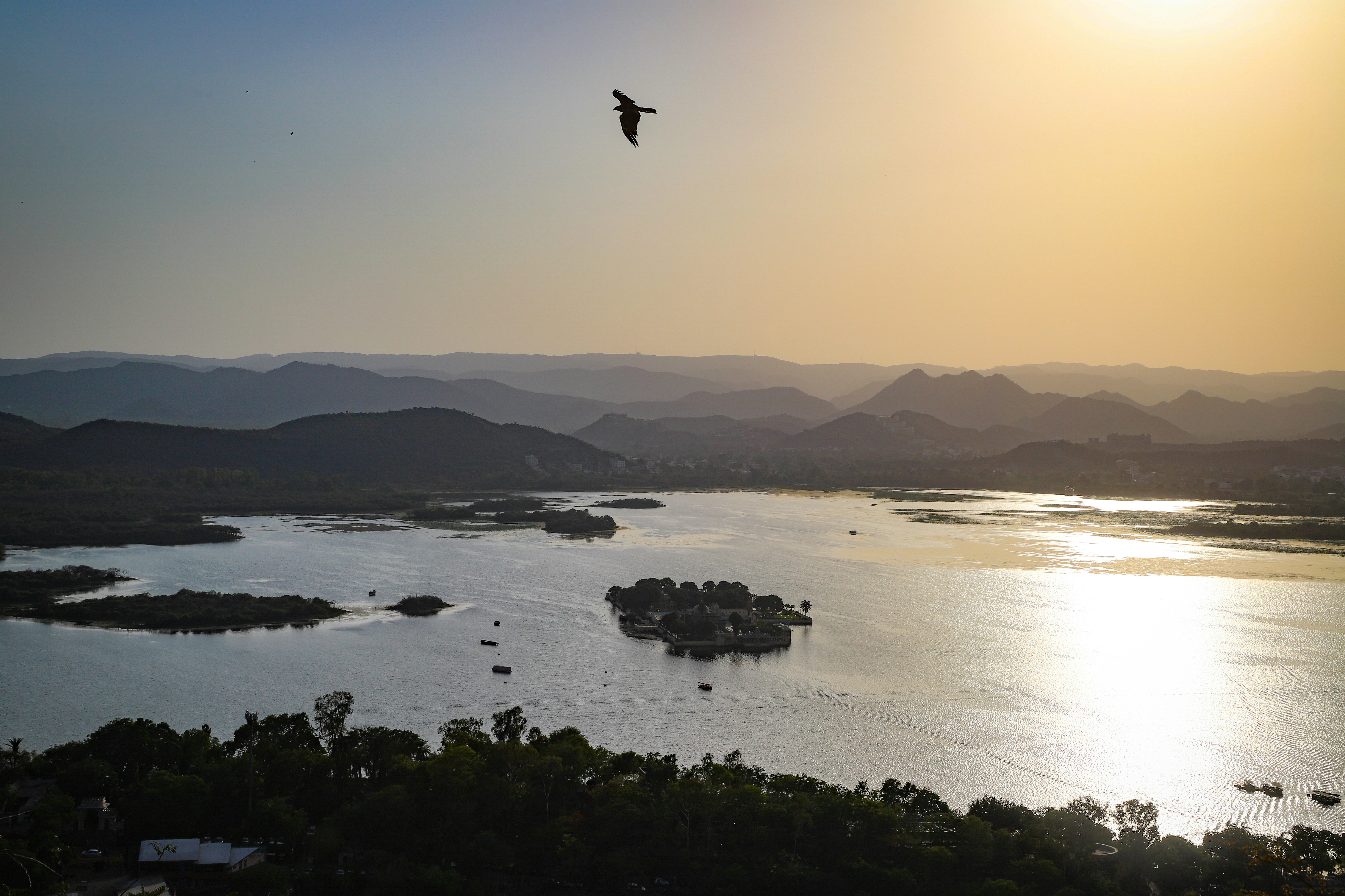 A bird flying over a large body of water