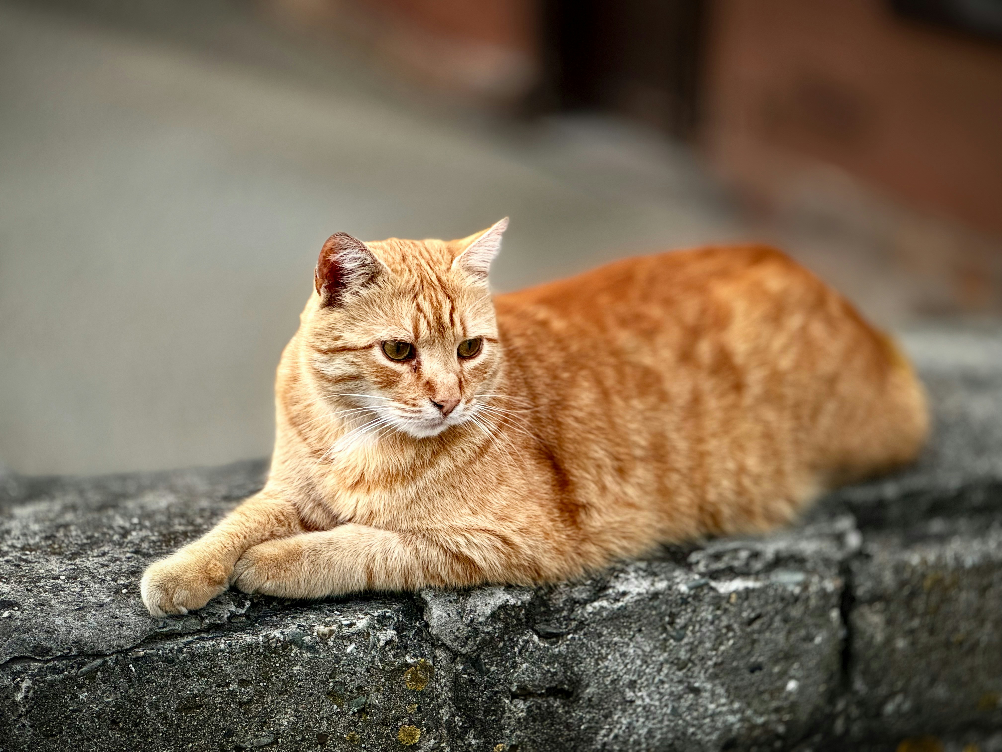 Photo by sebastianpiekos