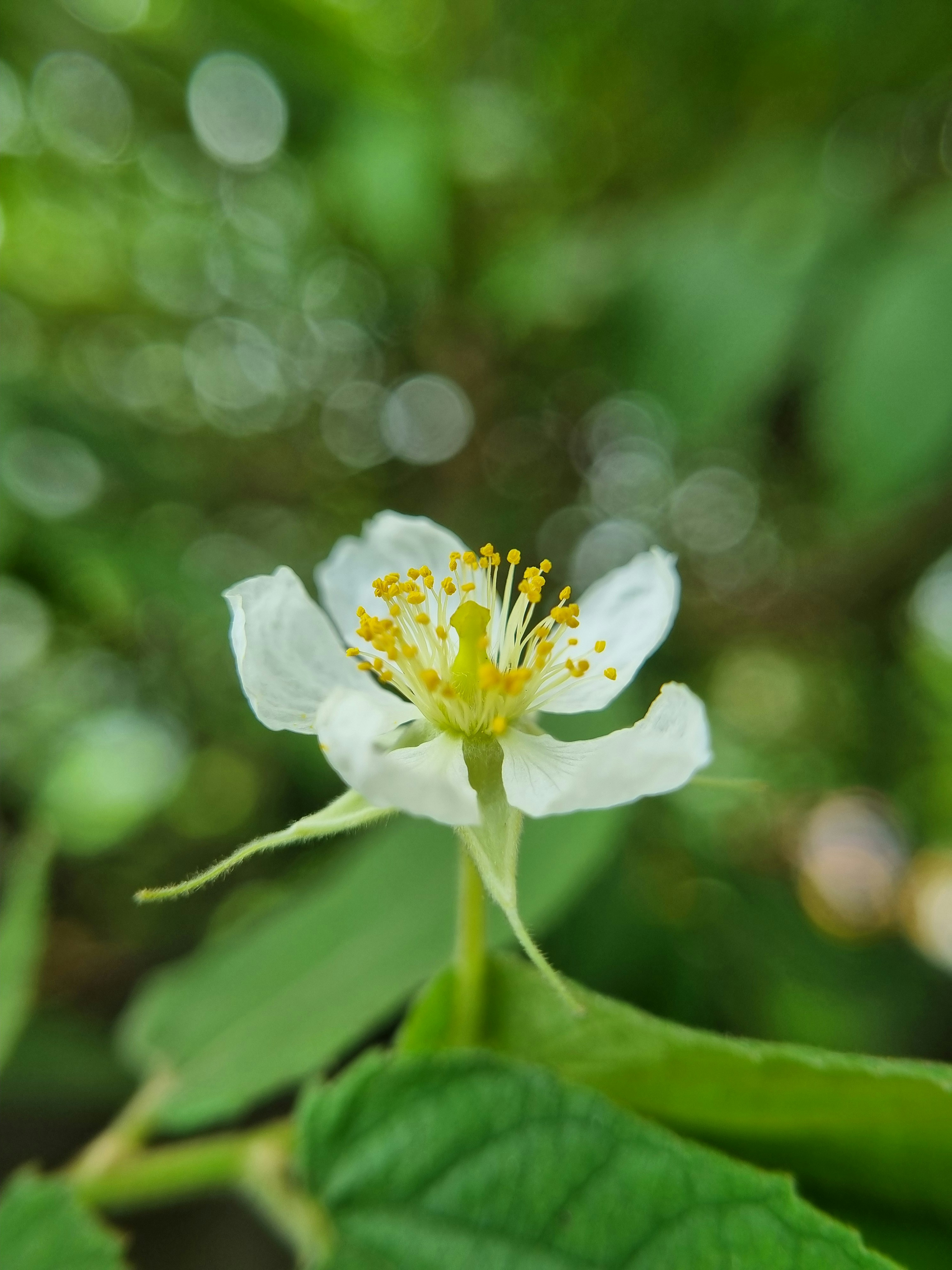 Photo by i_am_clinton