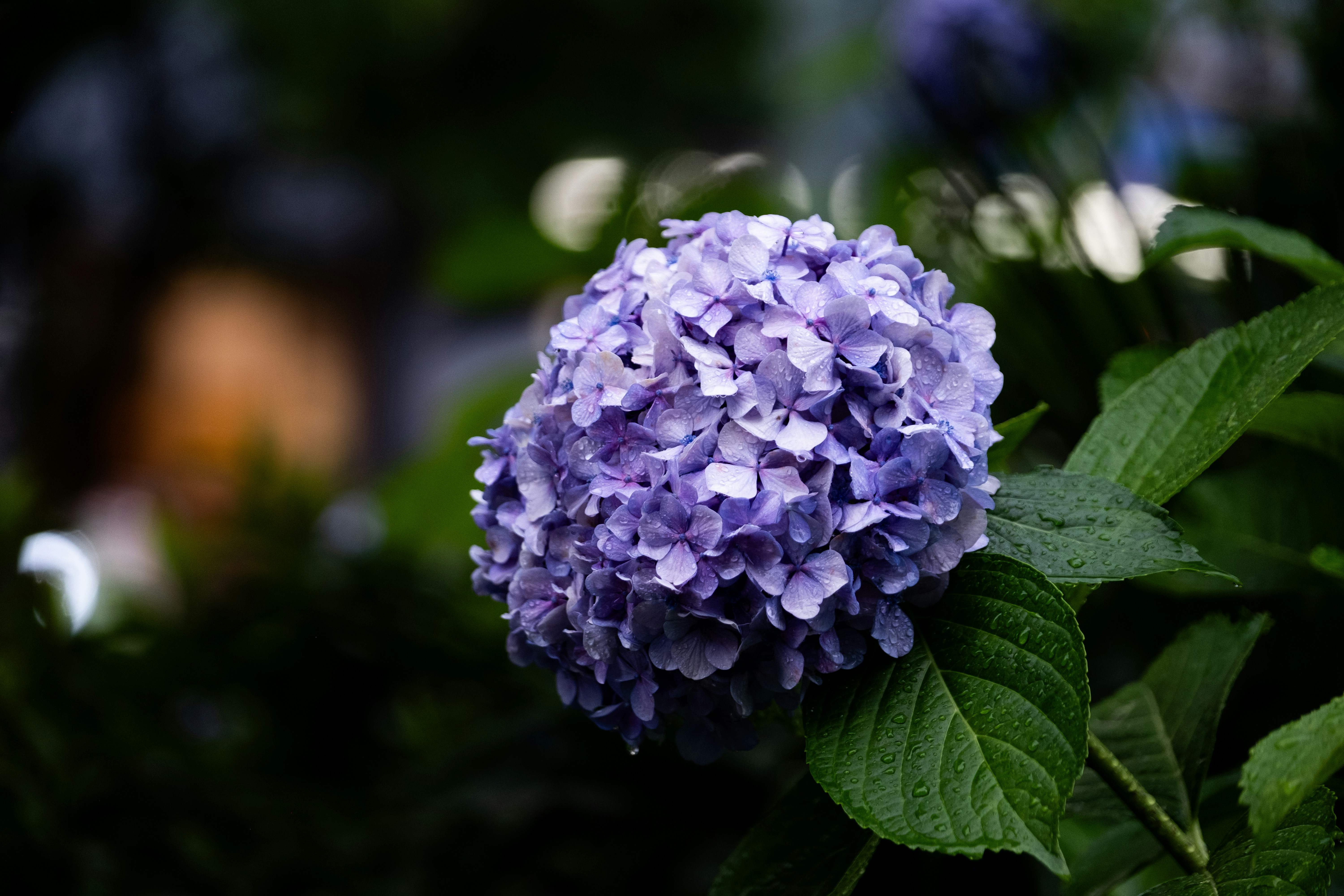 Photo by bubgraphics