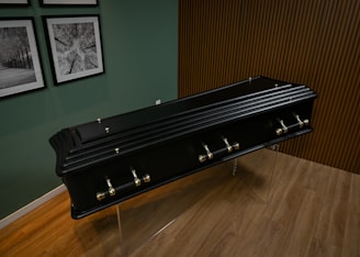 სასახლე მაცივარი