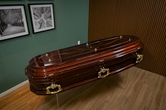 სასახლე (მუხის, კაკლის, წიფელის და სხვა)