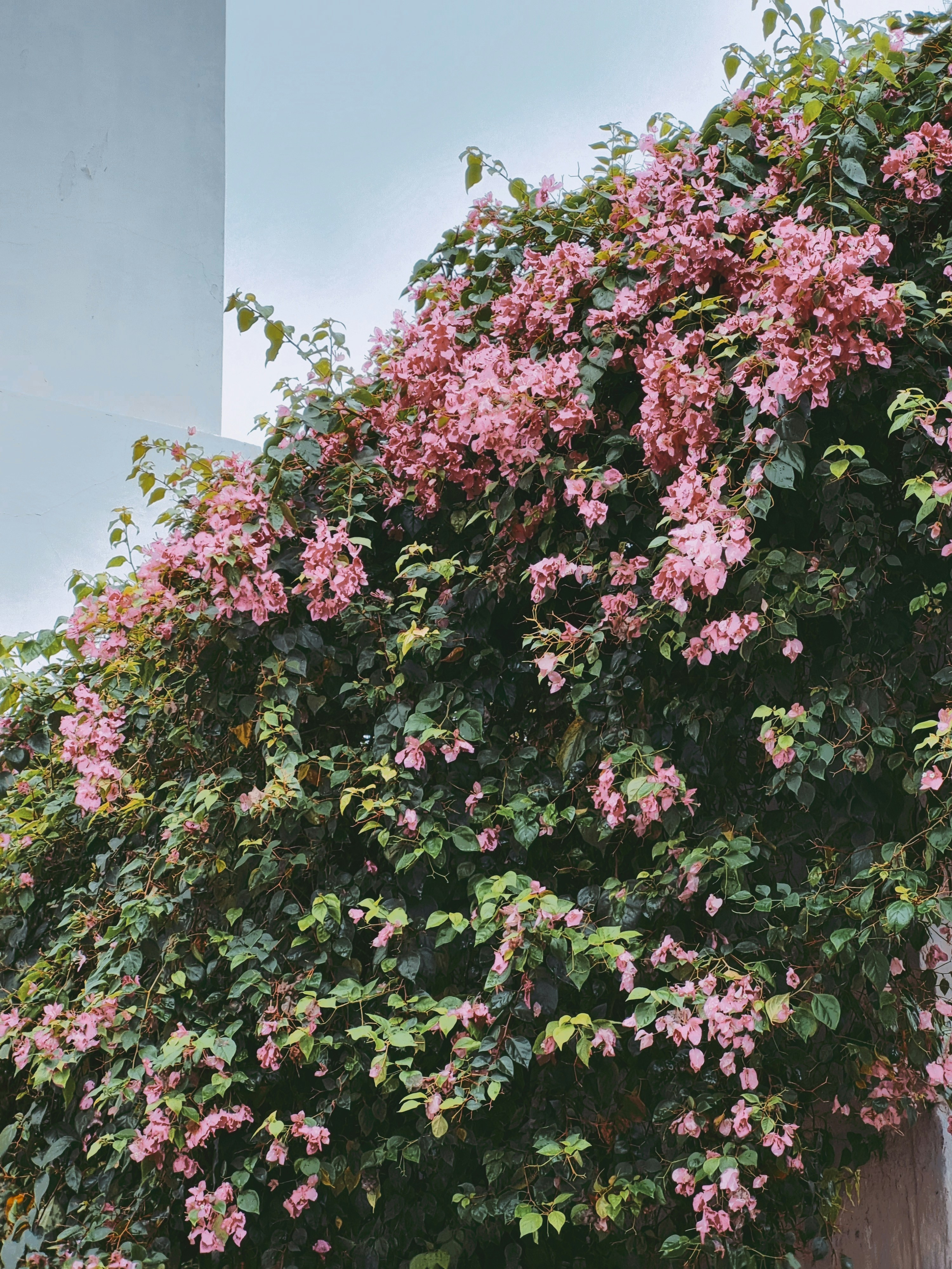 Photo by i_am_clinton