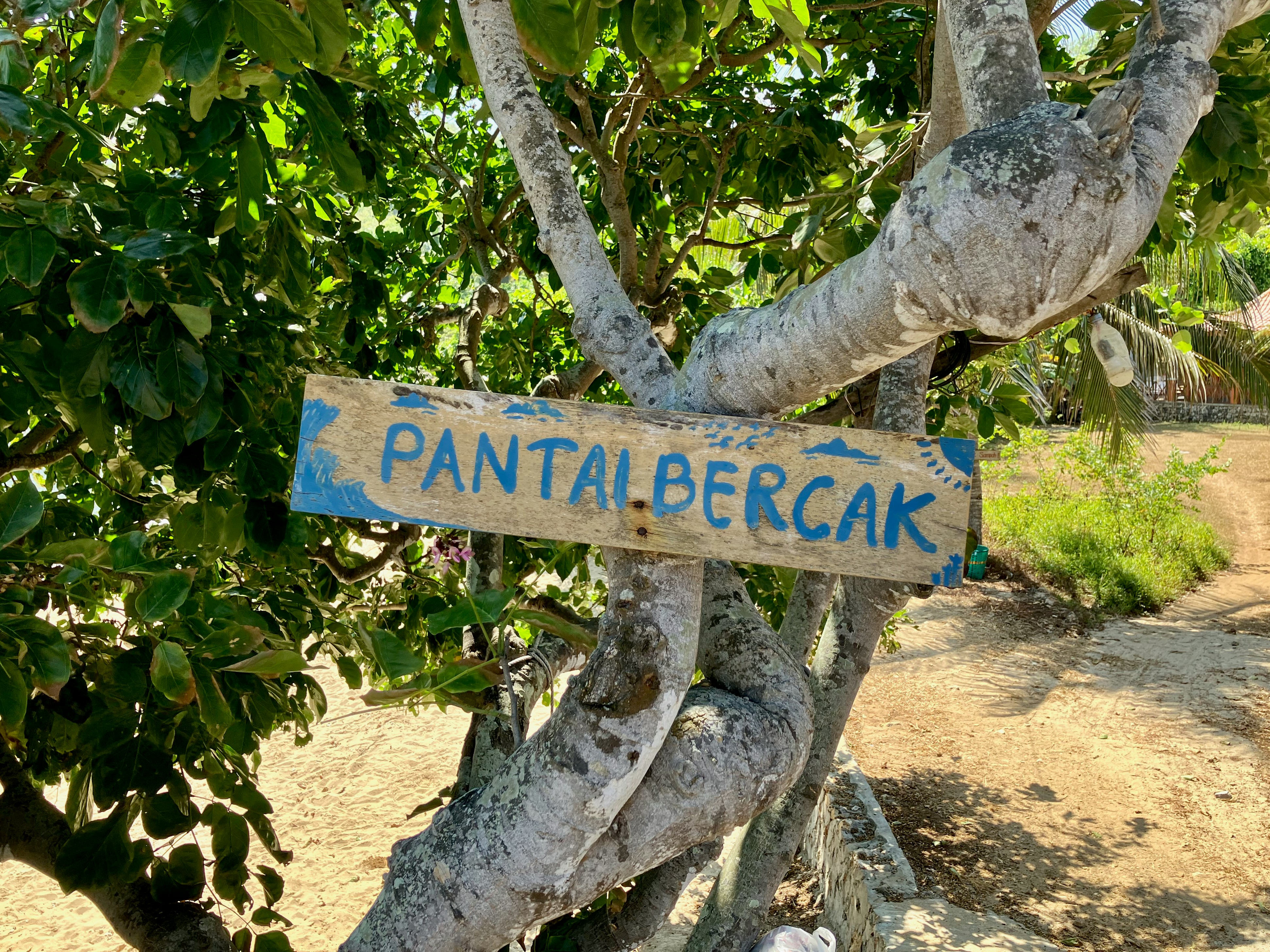 A sign that is hanging from a tree