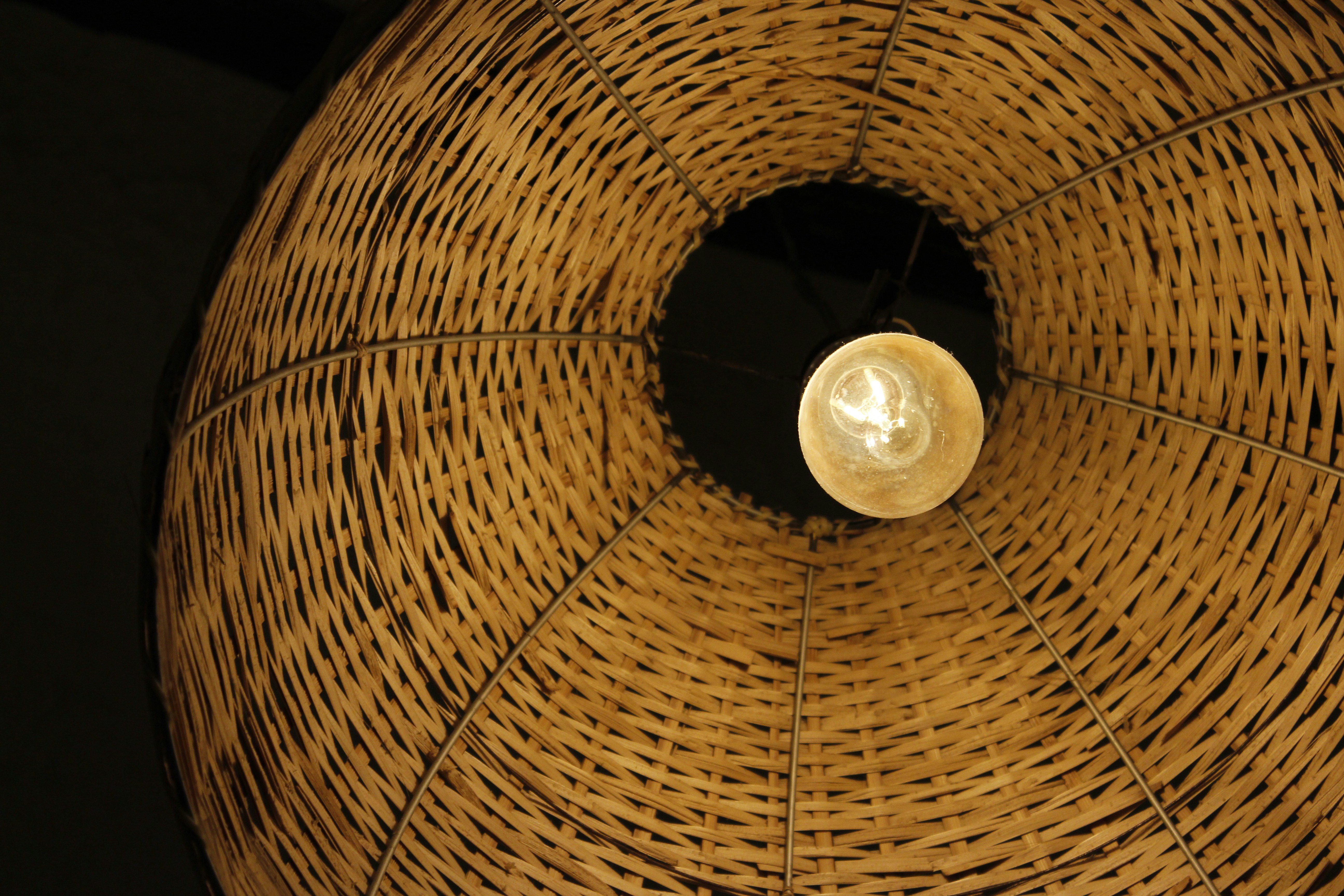 Photo by karanbeniwal