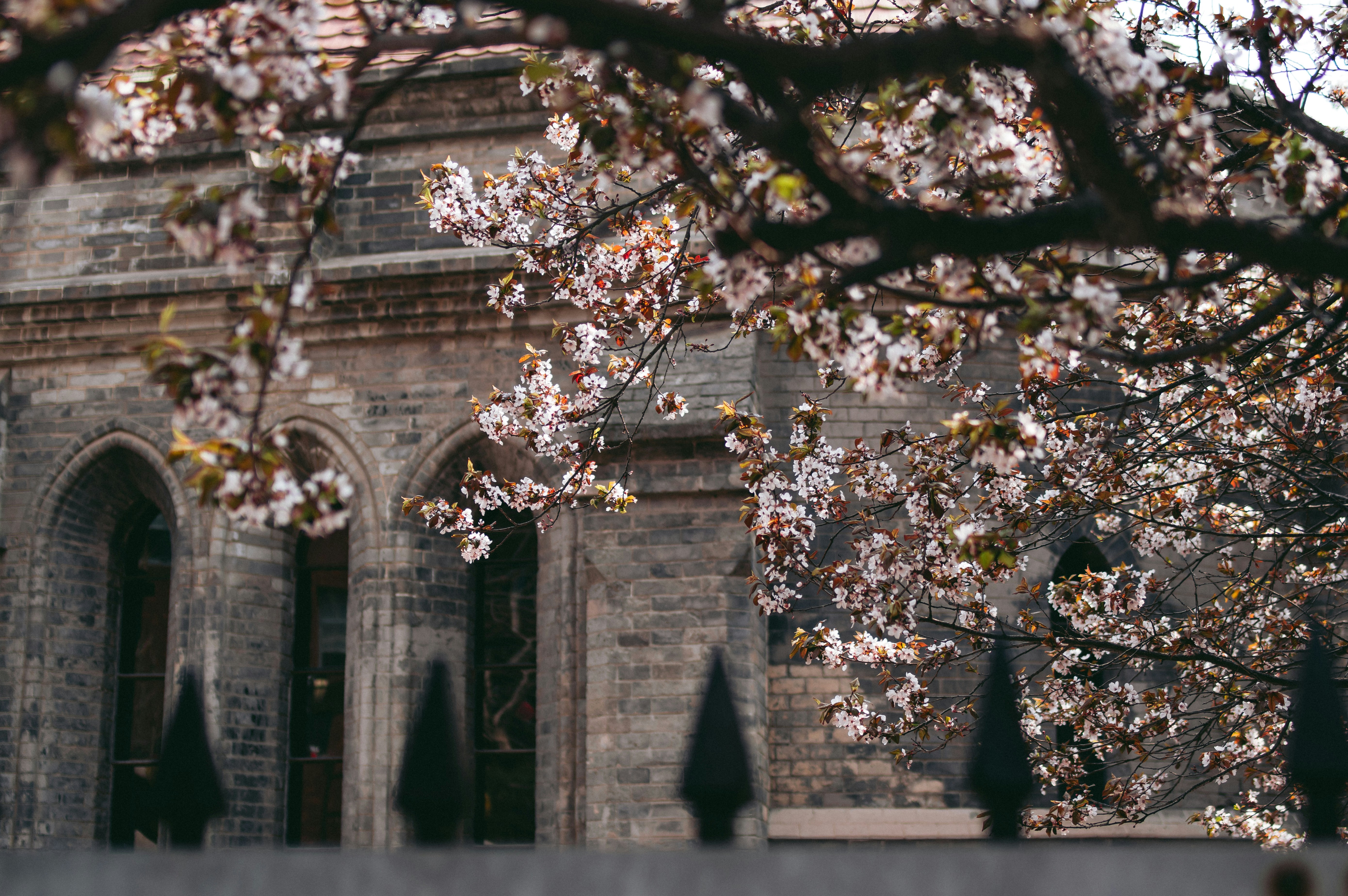 Photo by takeshi2