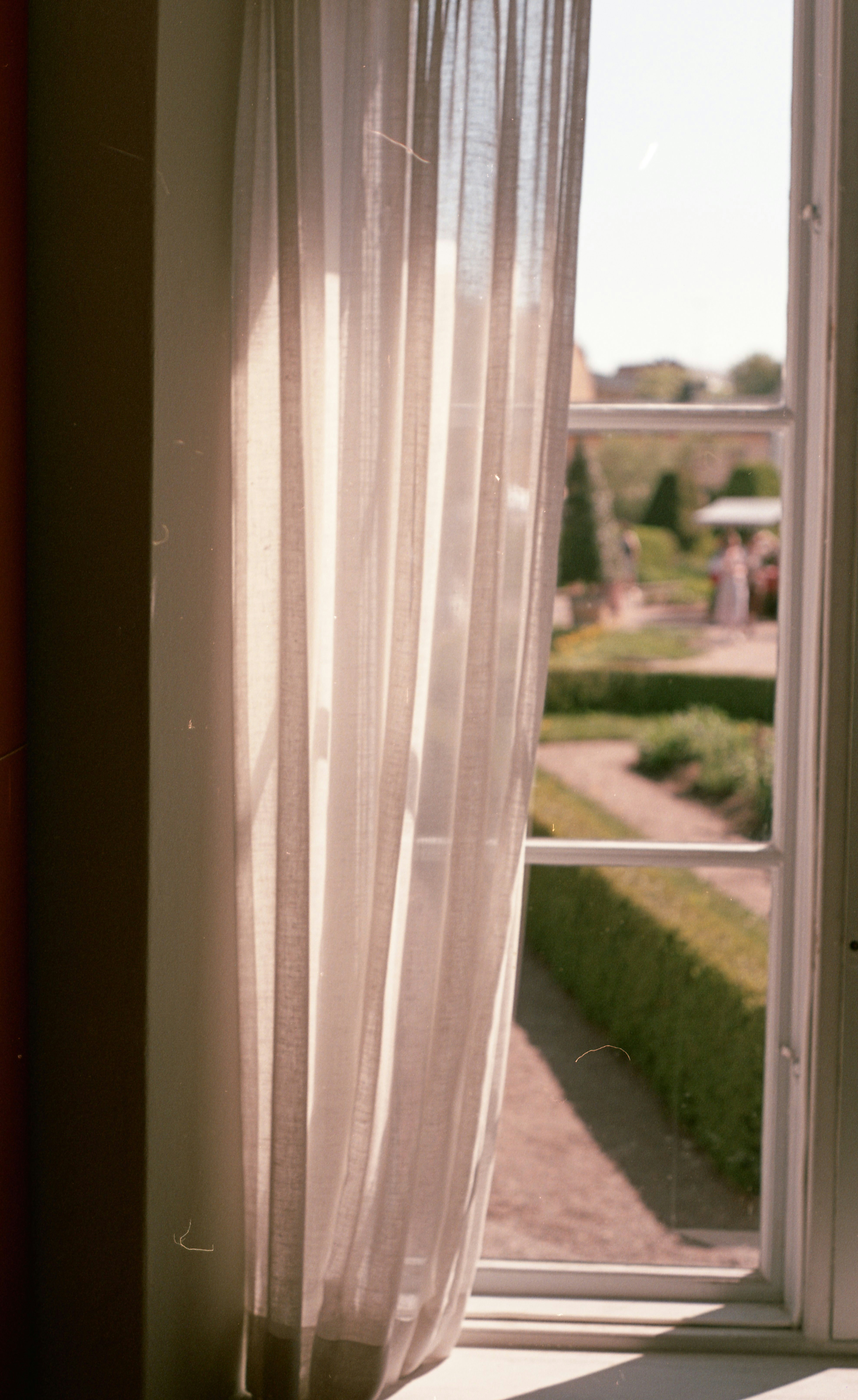 Eine Katze, die auf einem Fensterbrett sitzt und aus dem Fenster schaut