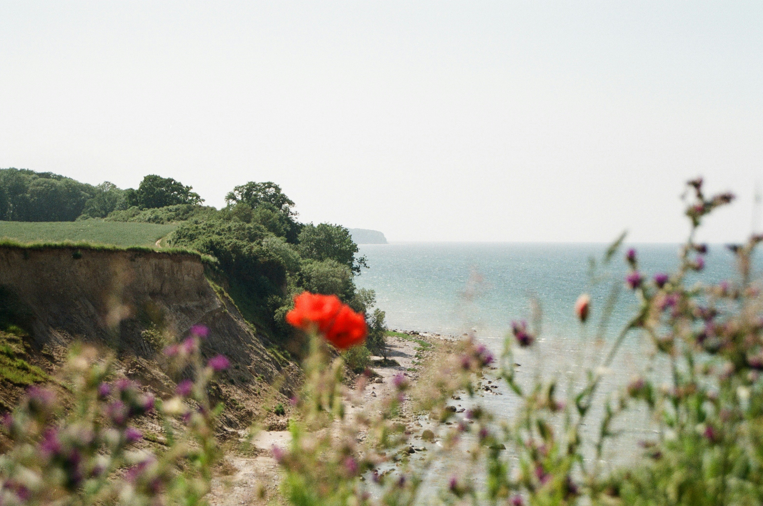 여행 시 주류 반입 한도는 어떻게 되나요?