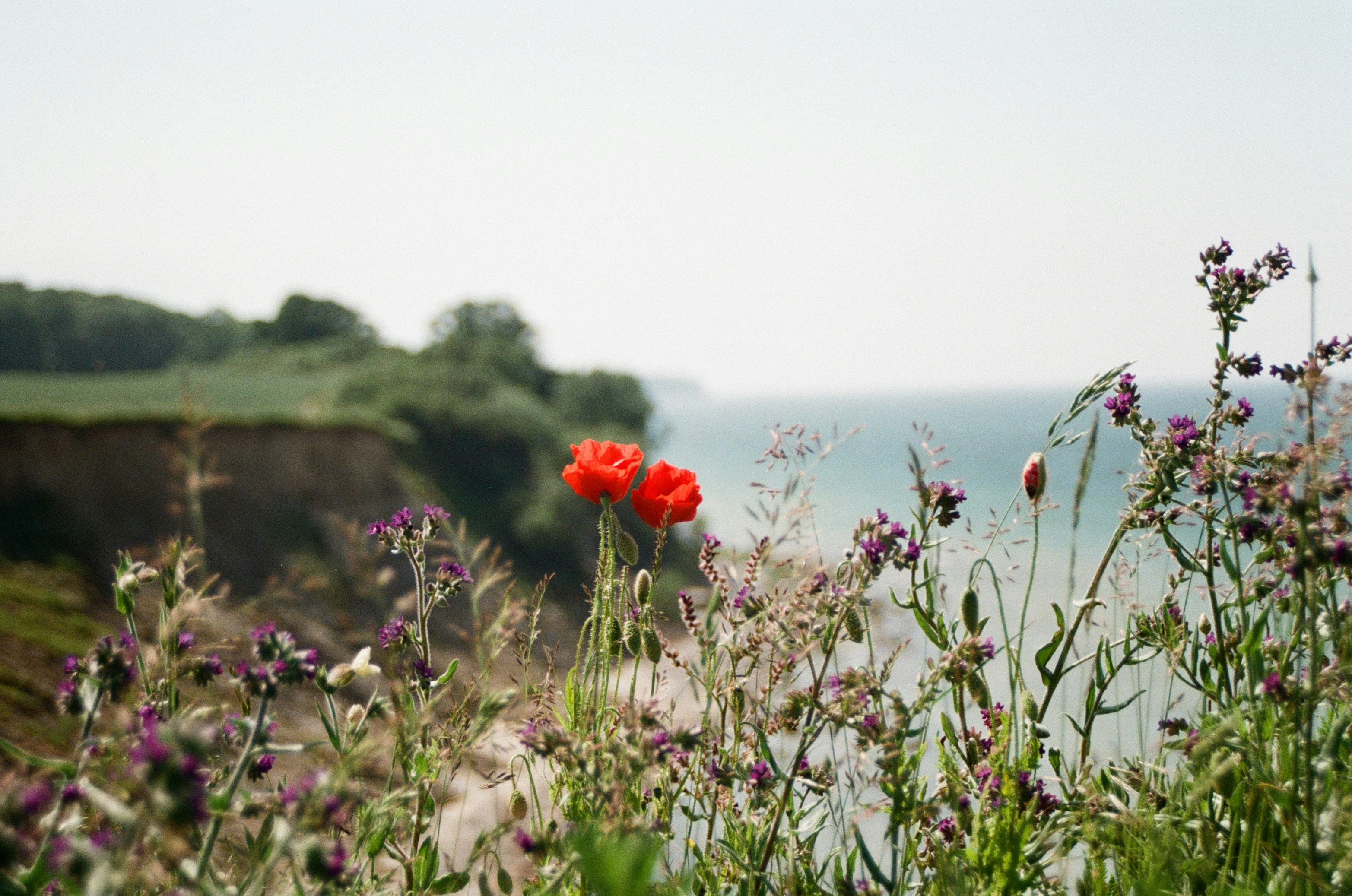 Photo by bernhardbar