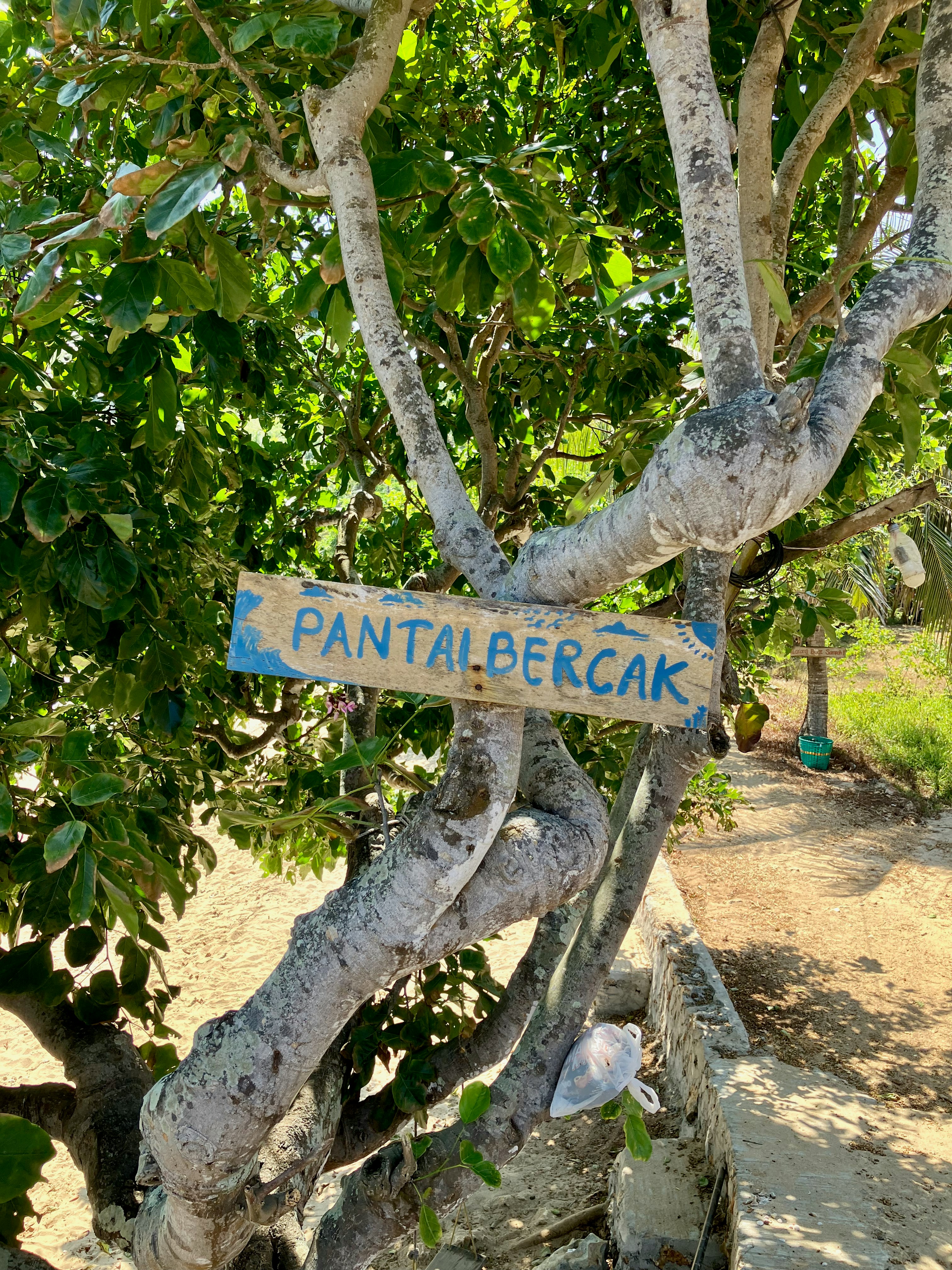 A street sign hanging from the side of a tree