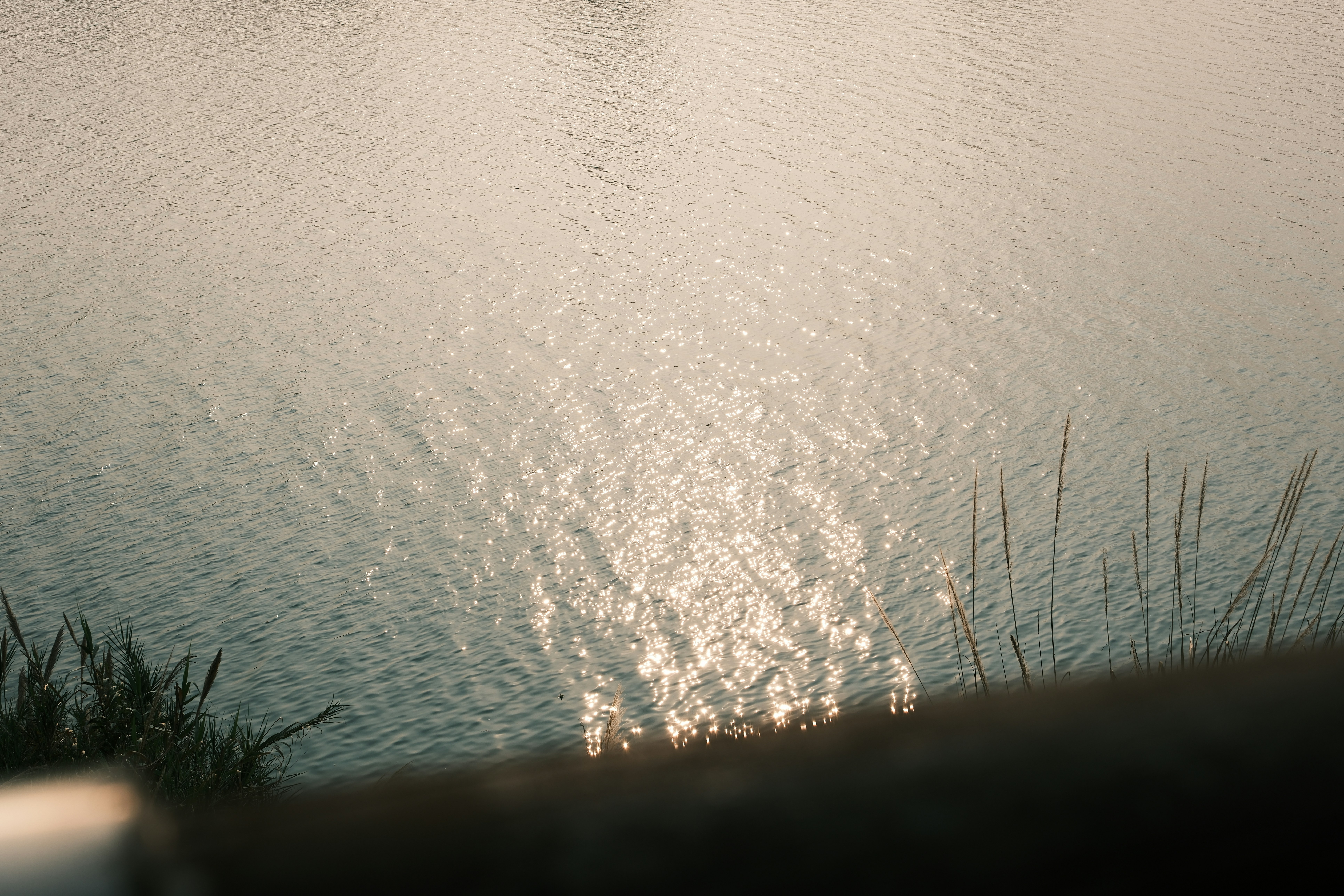 Photo by essential320