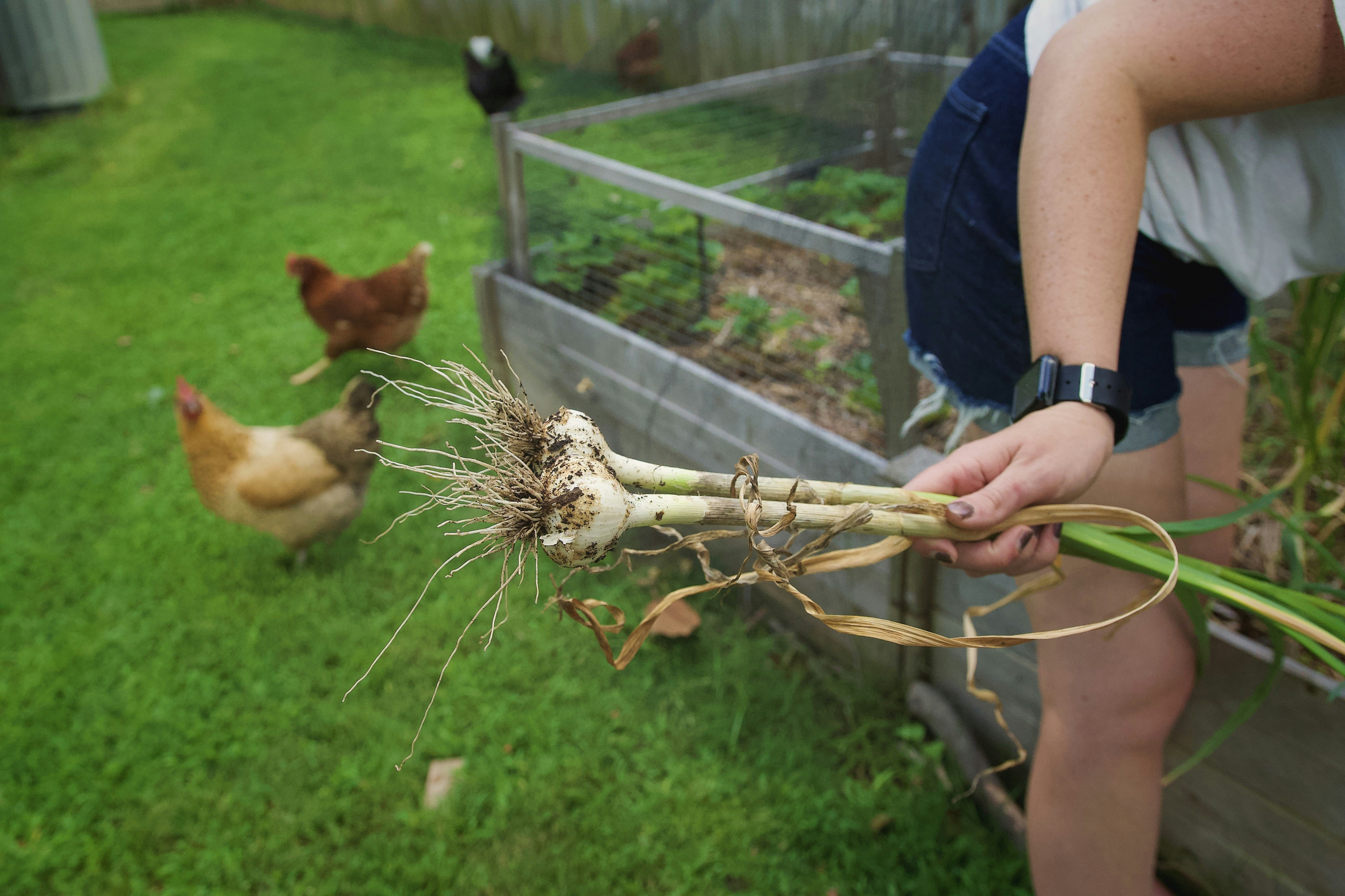 Woman holding onions