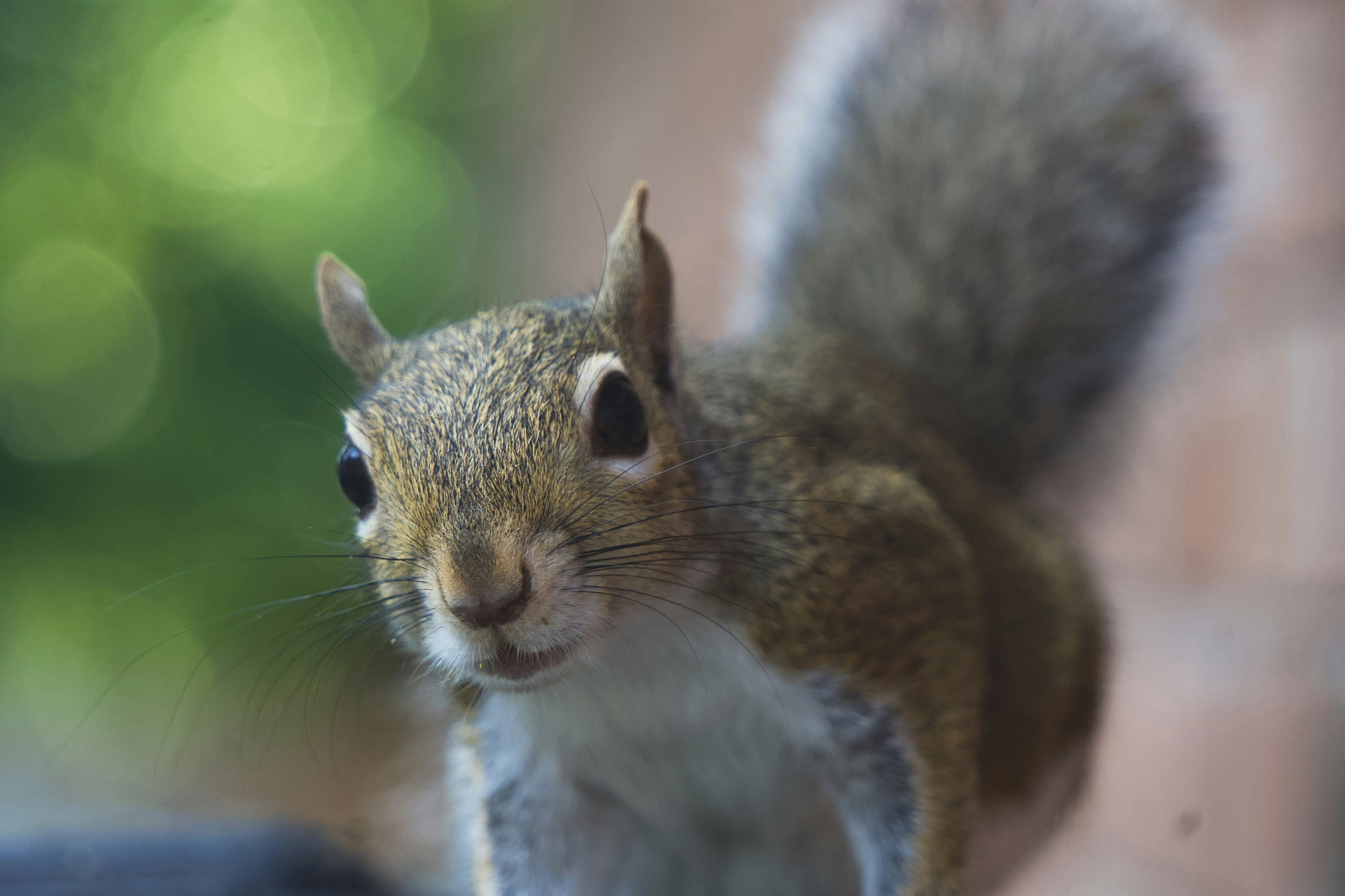 Photo by minimdesignco