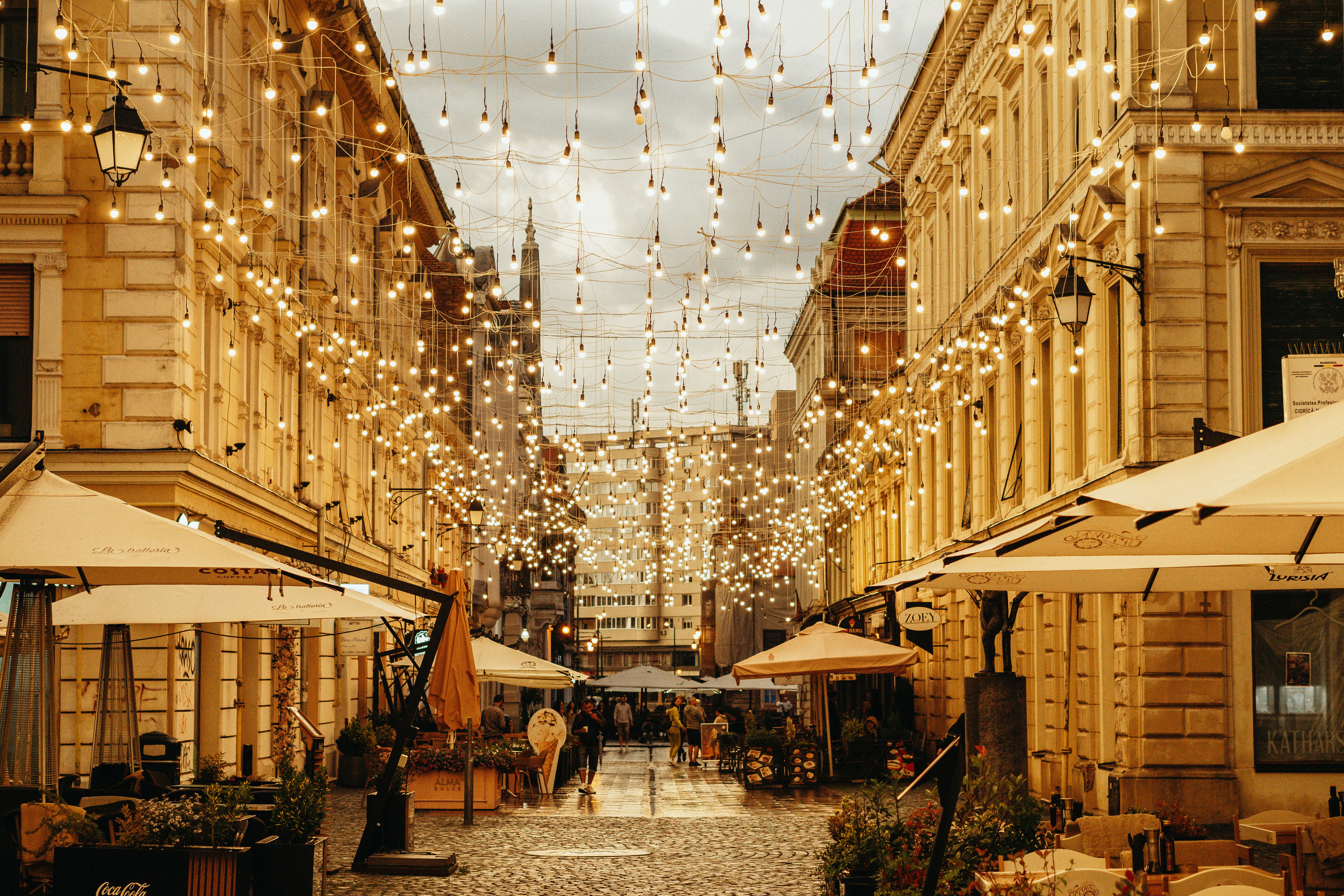 Photo by kateryna_senkevych