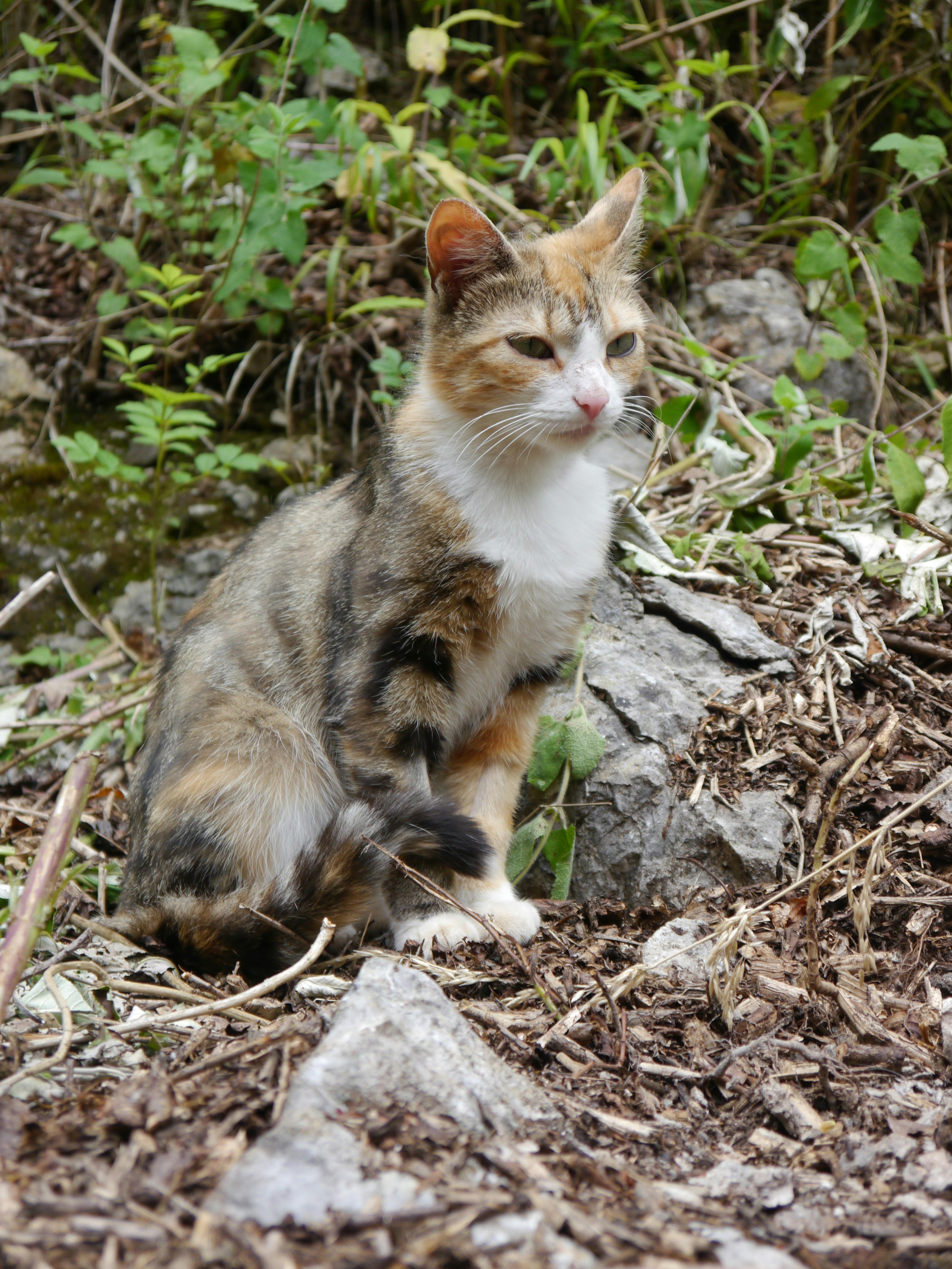 Photo by iqsphotography