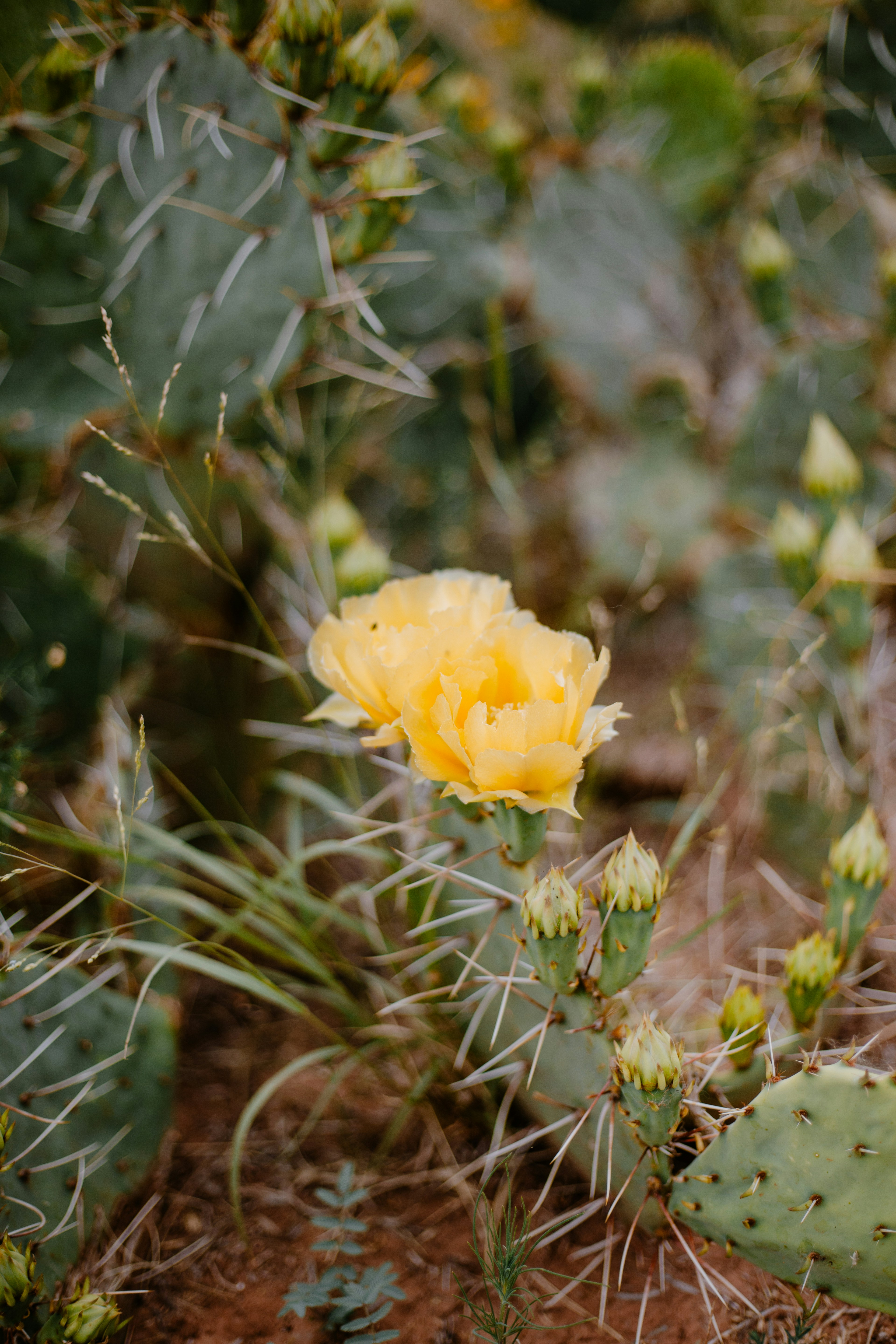 Photo by cocolainerose