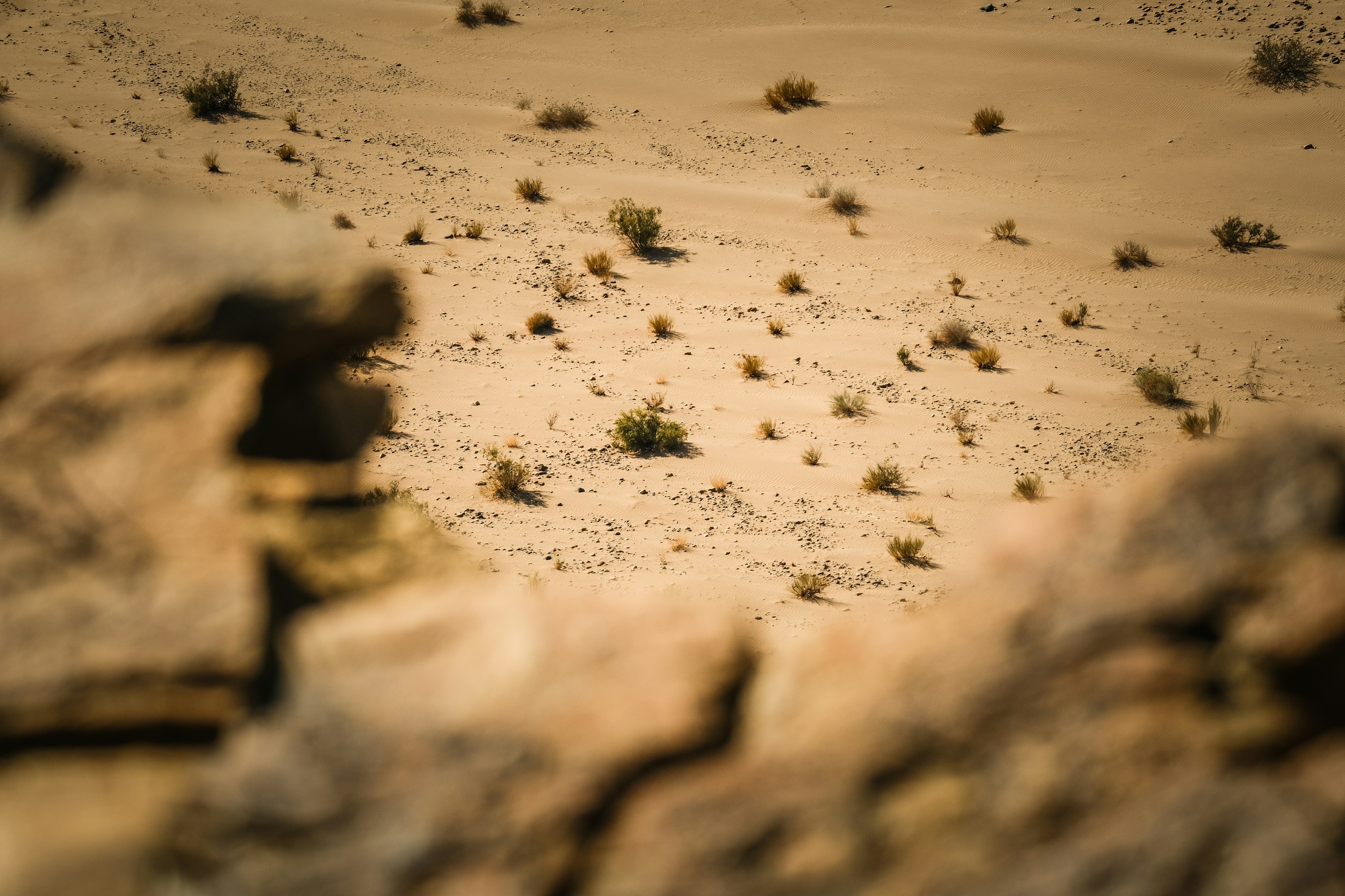 Photo by francesco_ungaro