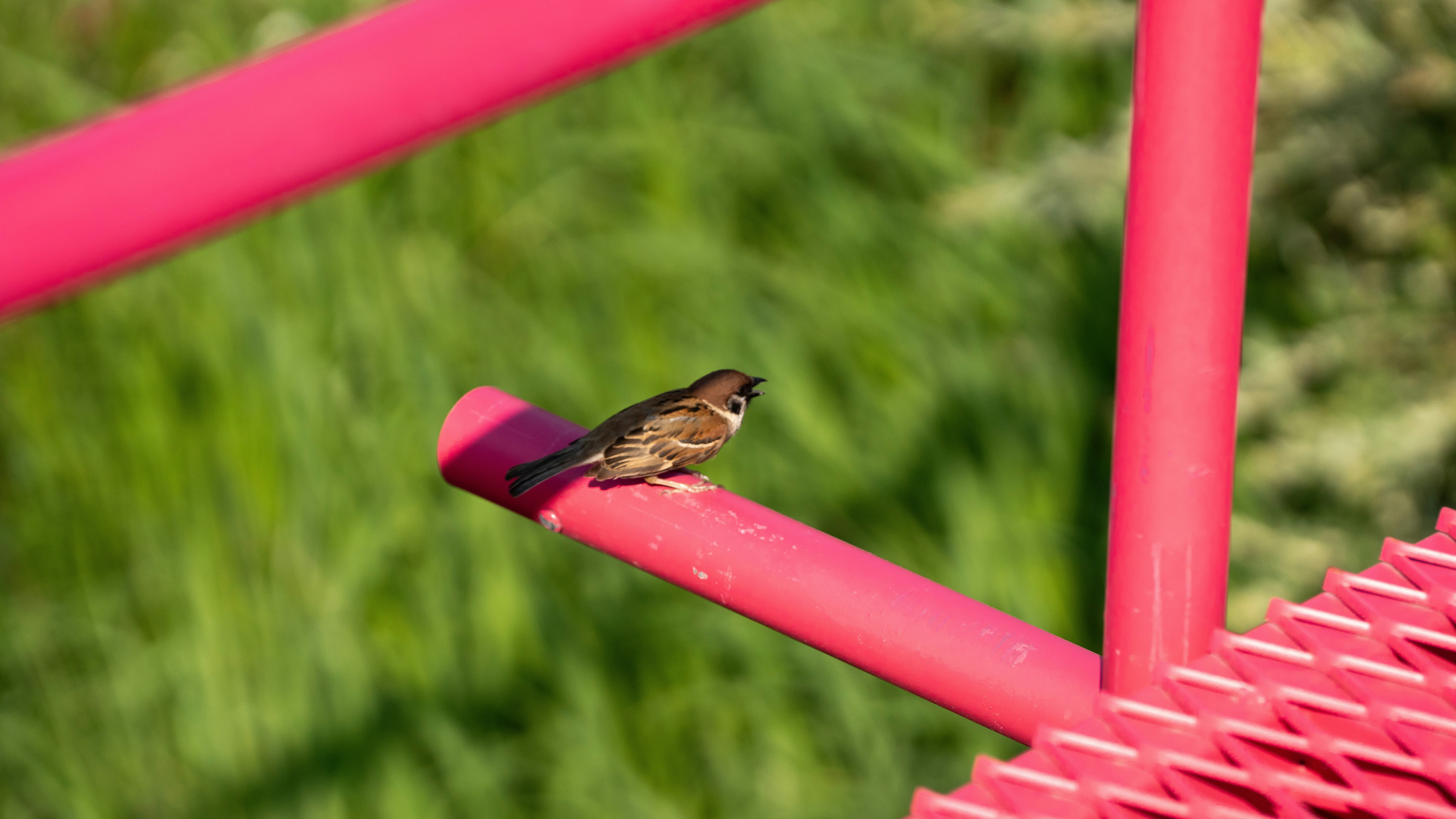 Photo by hyewonphotography