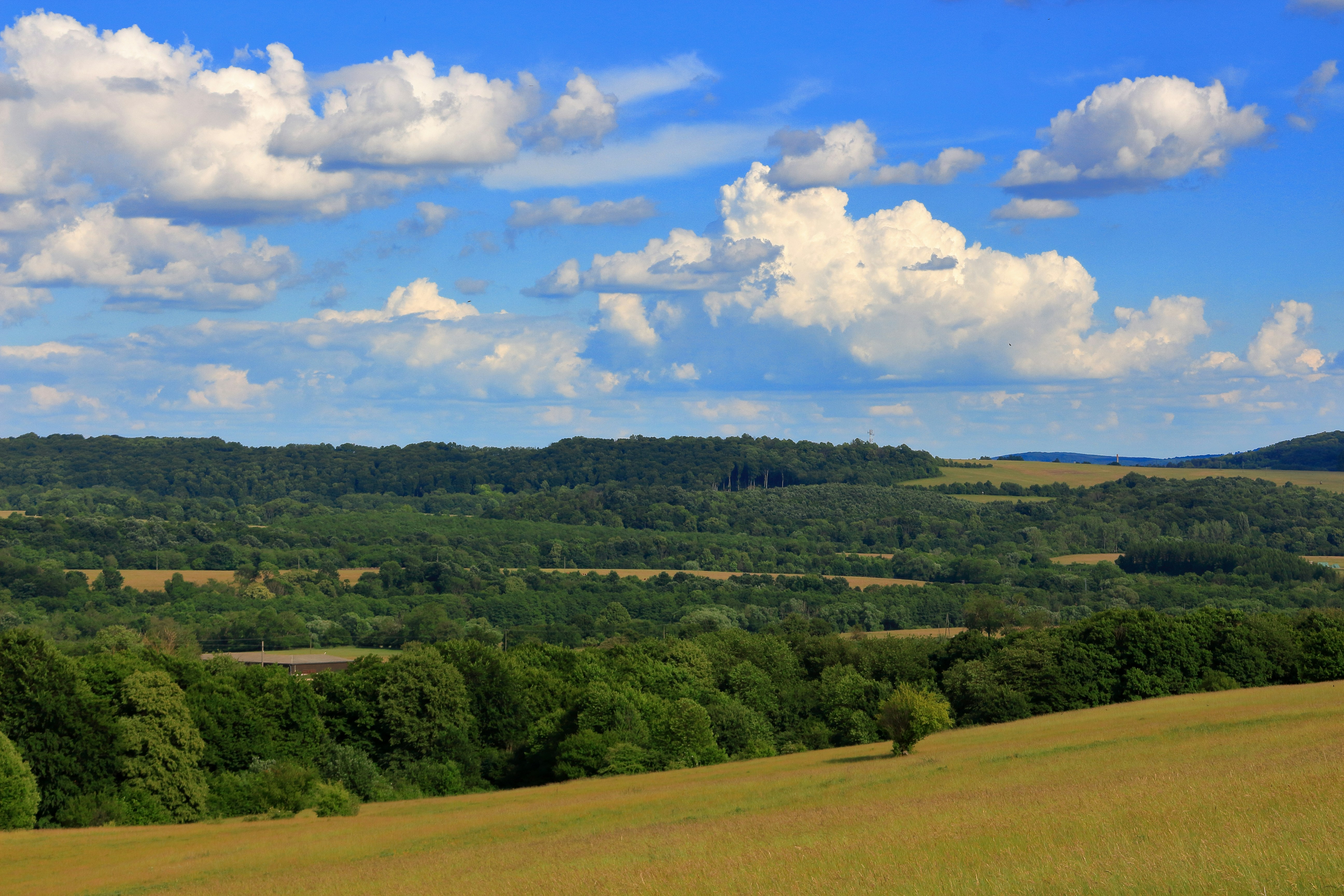 A view of a field with trees and clouds in the background
