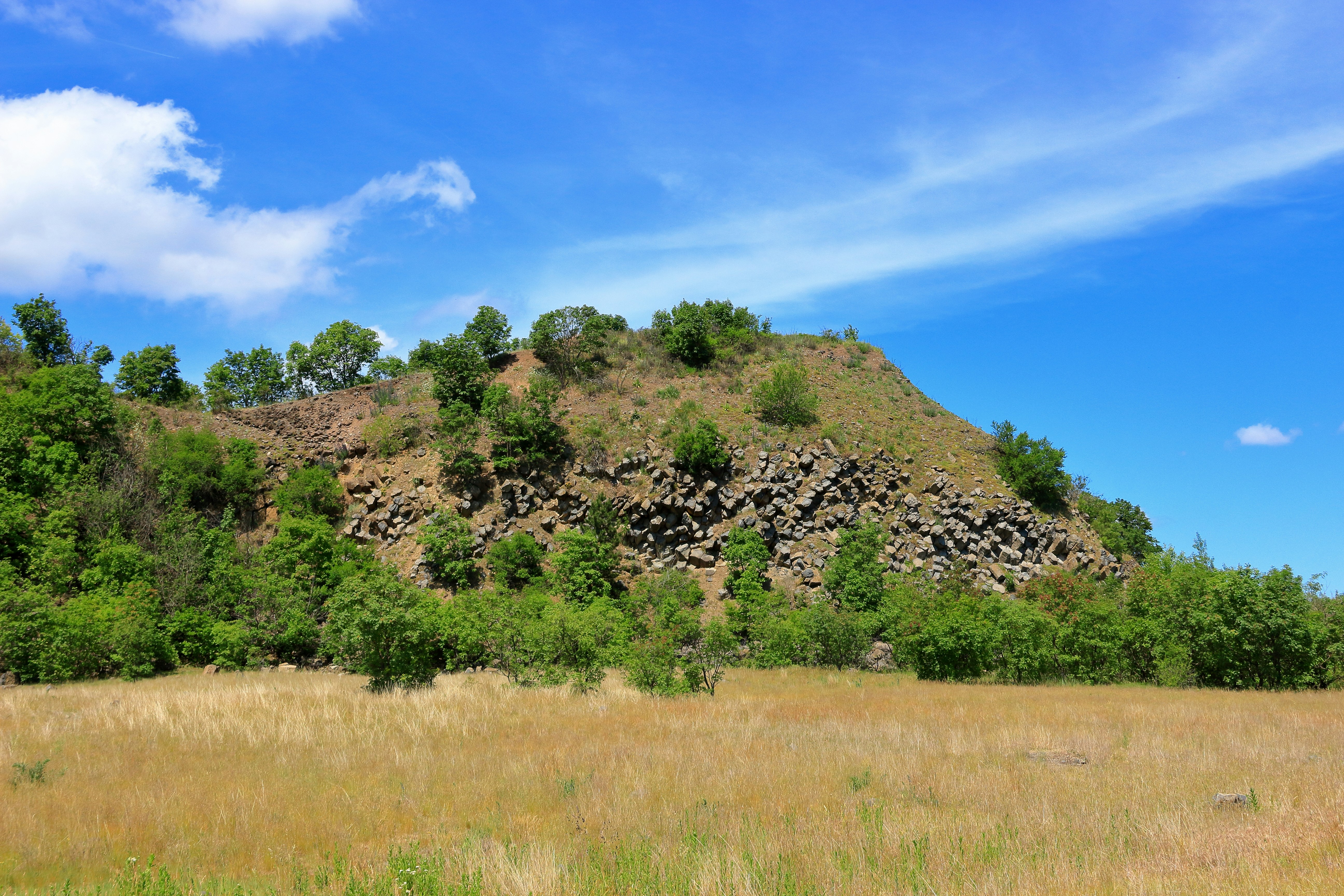 A grassy field with a hill in the background