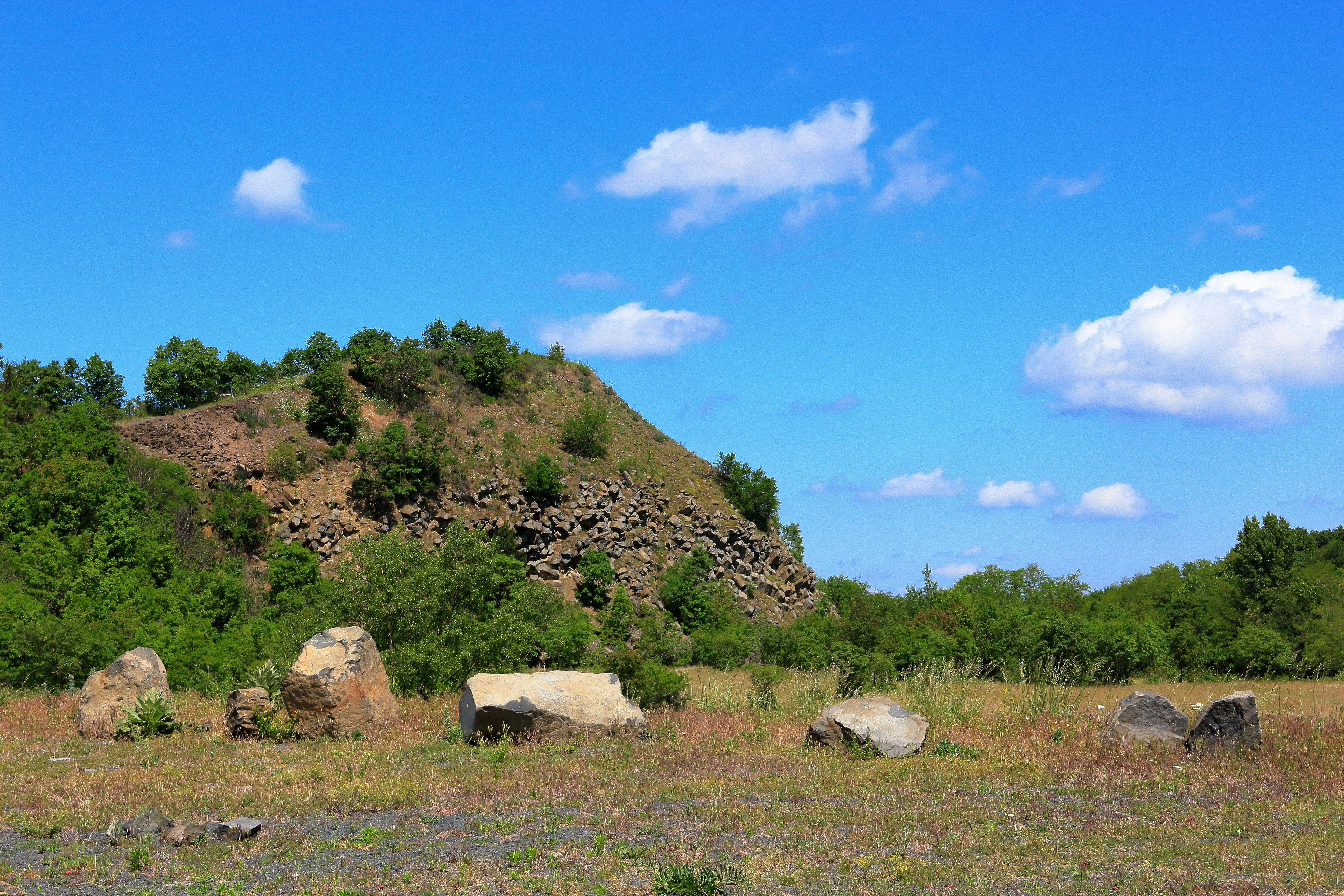 A grassy field with rocks and trees in the background