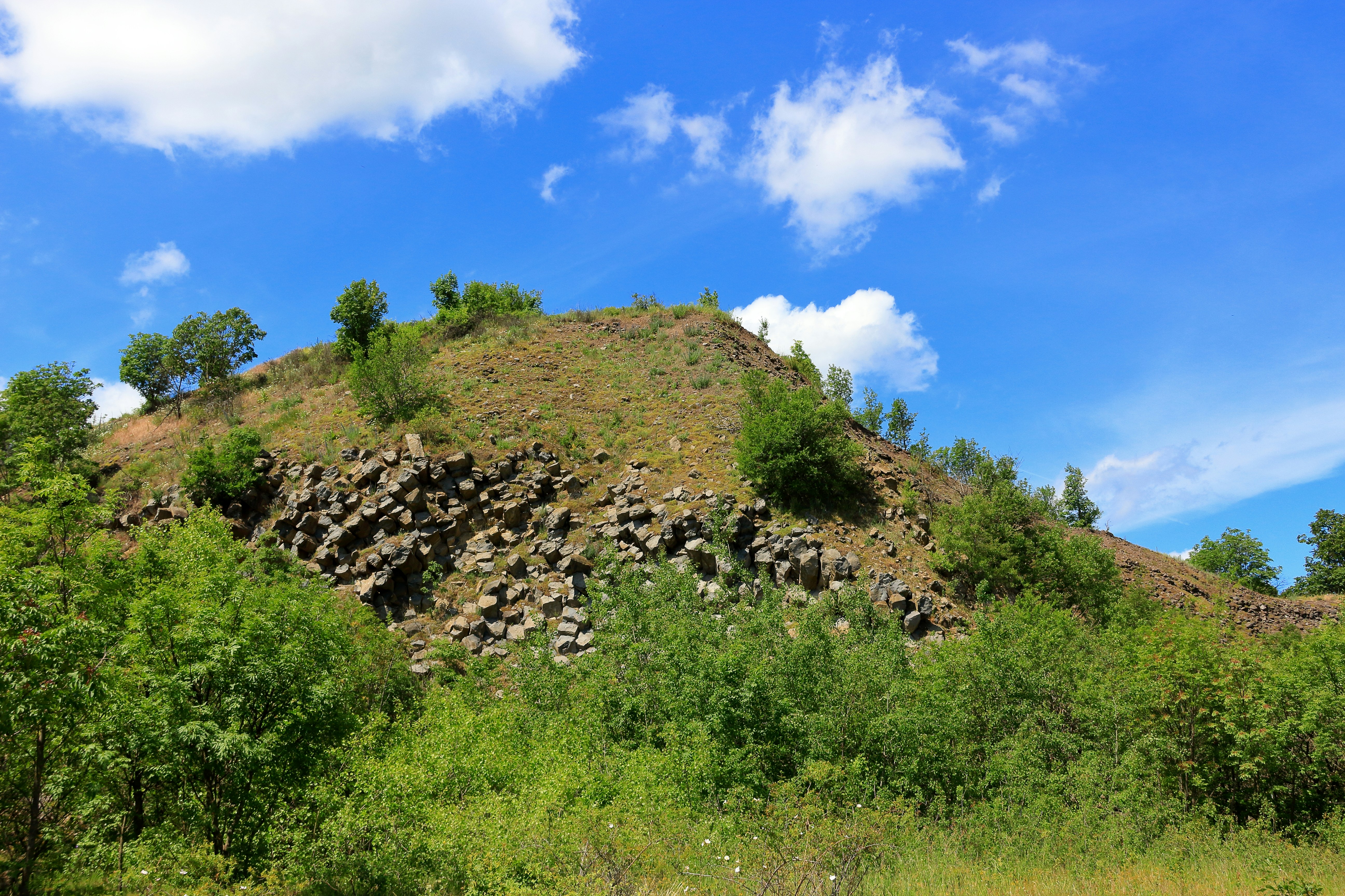 A large mound of rocks in the middle of a forest