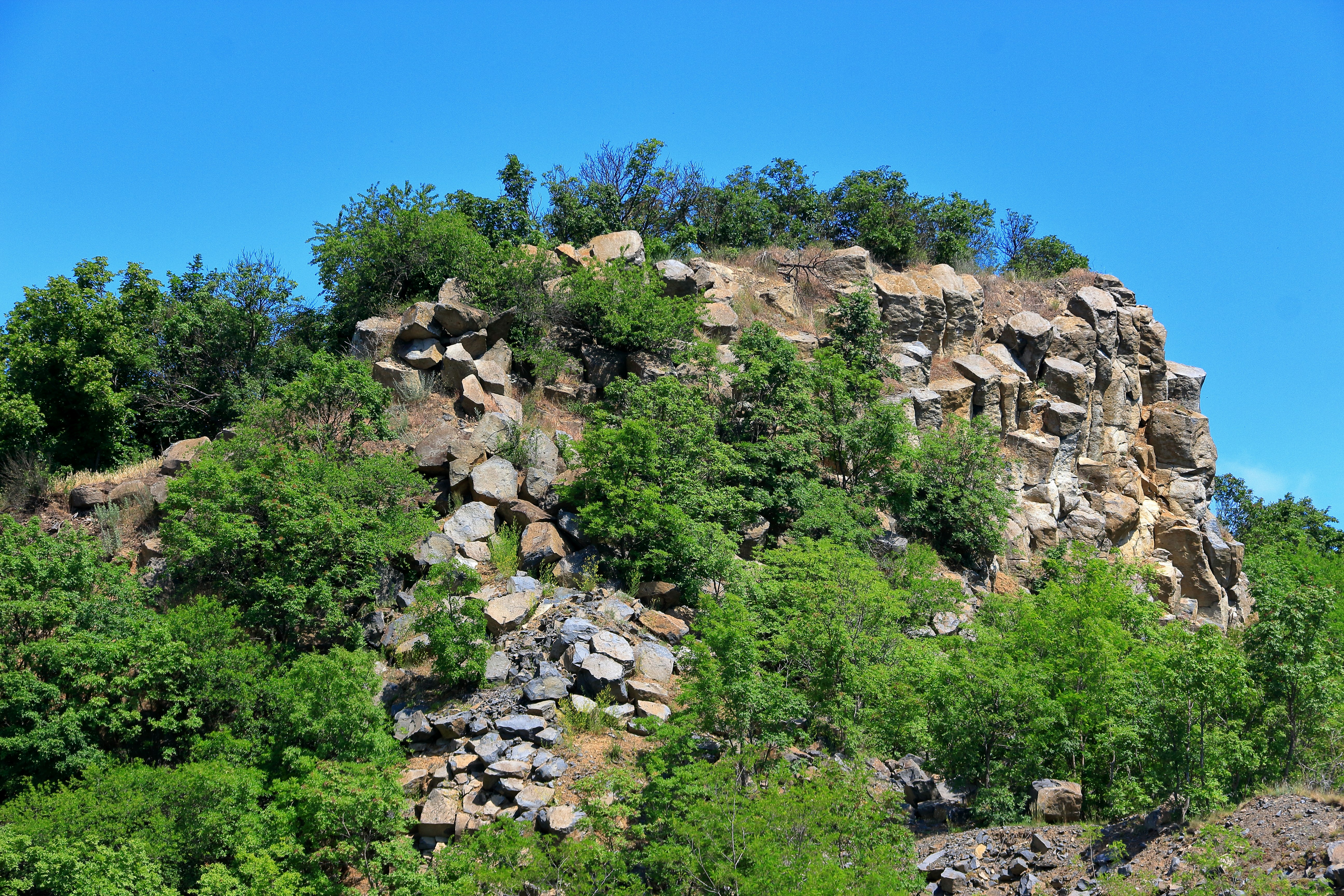 A large rock formation in the middle of a forest