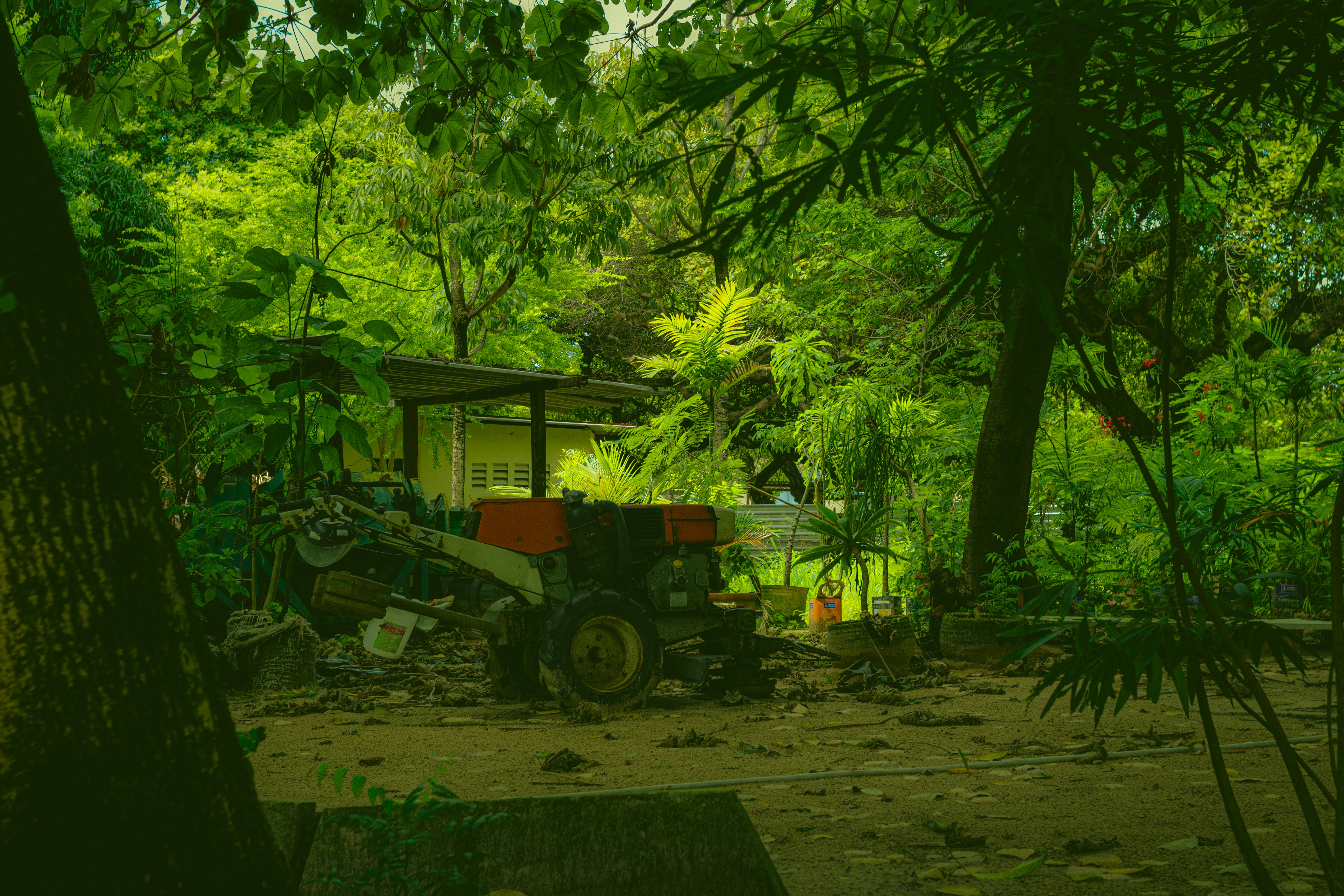 A tractor parked in the middle of a forest