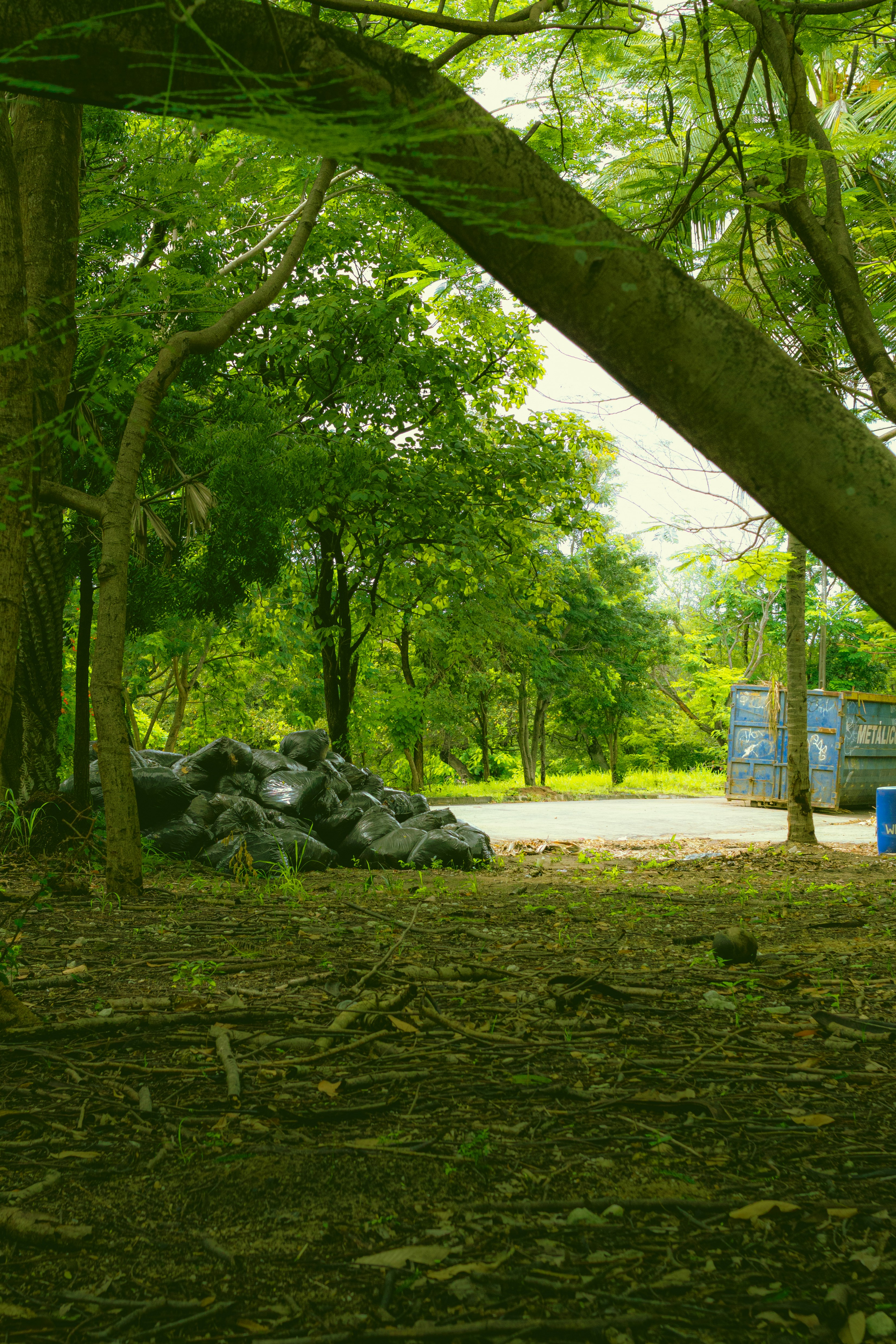 A blue bench sitting in the middle of a forest