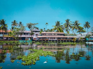 A body of water surrounded by palm trees