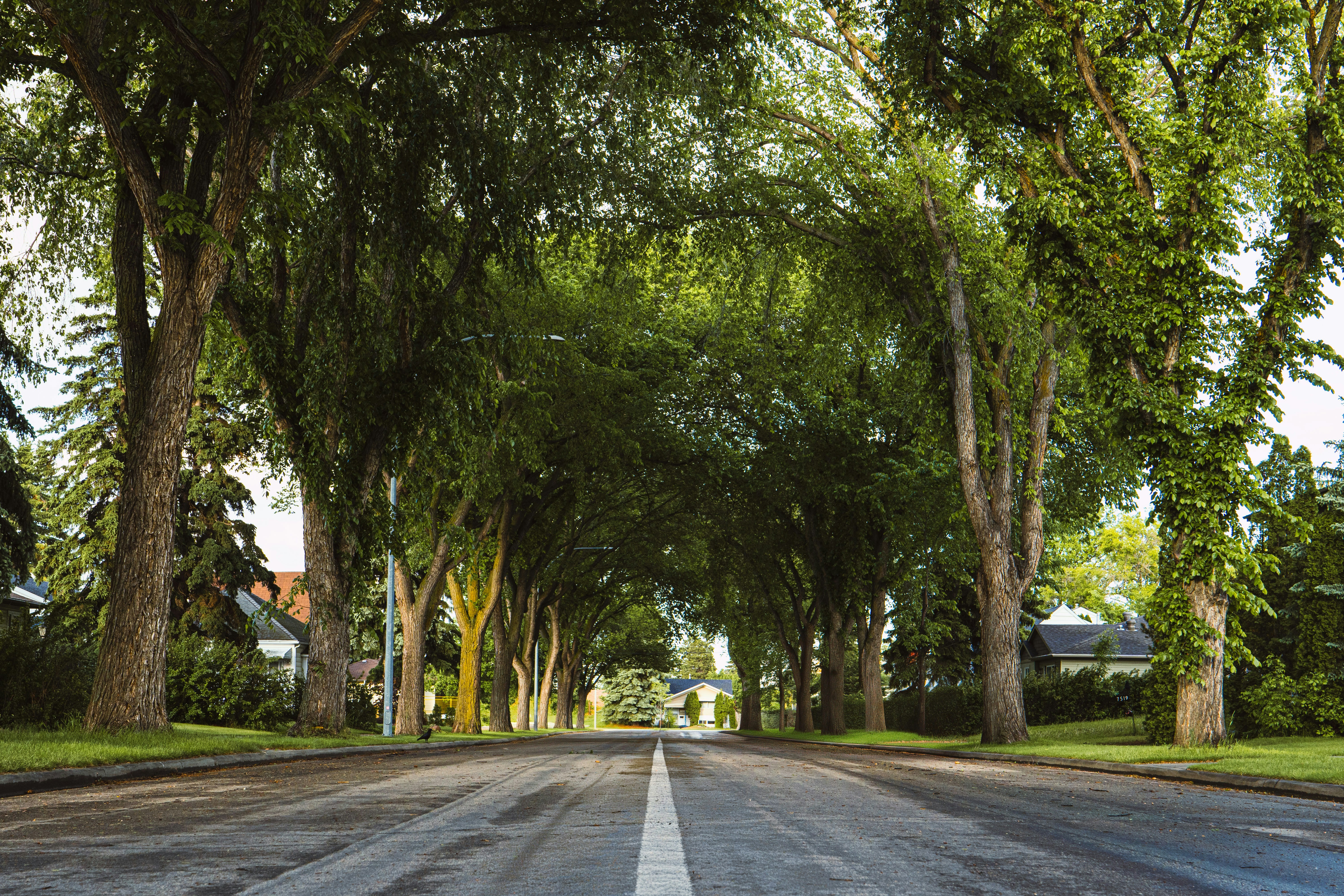 Photo by sachin_sandhu