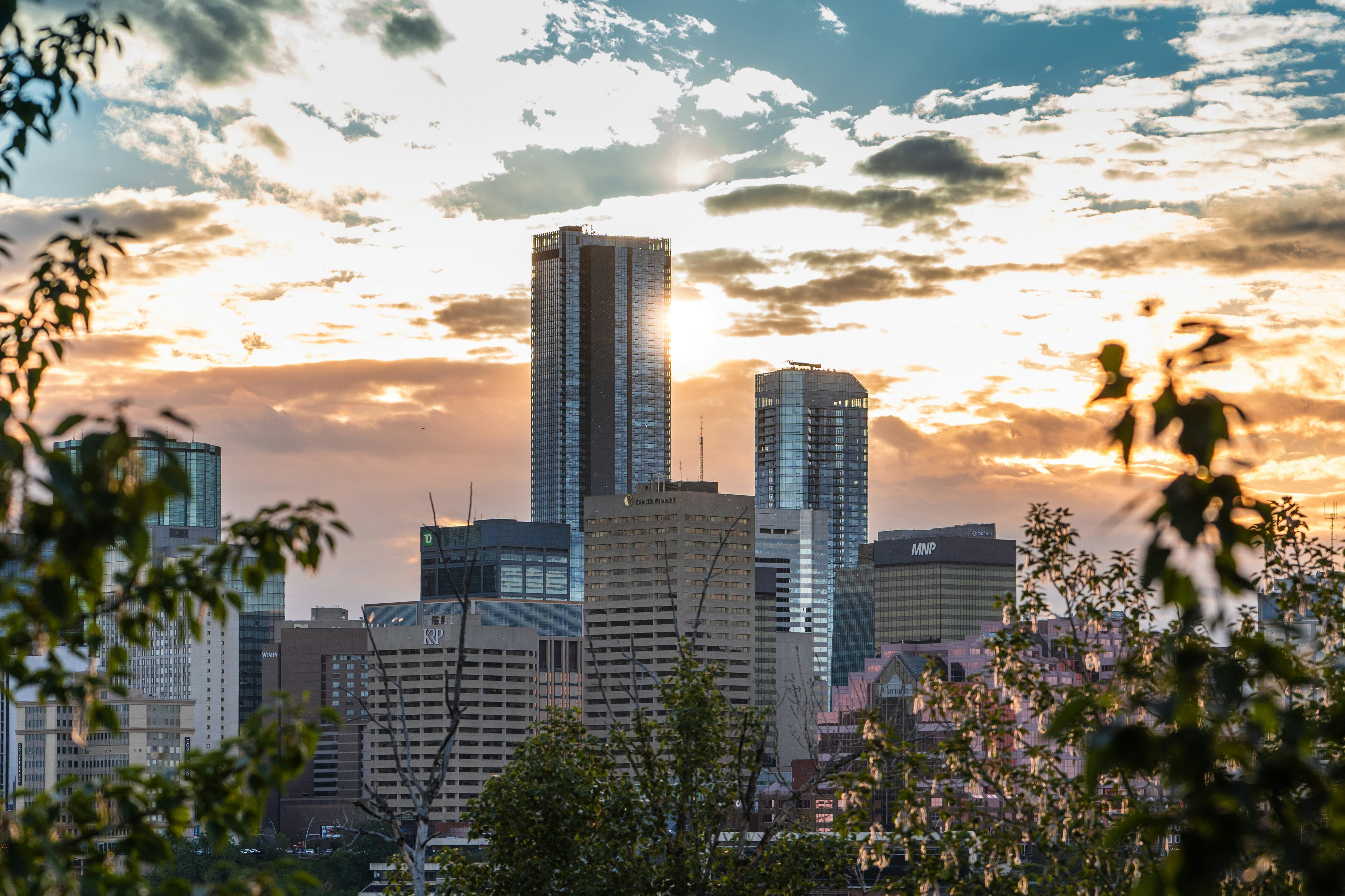 Photo by sachin_sandhu