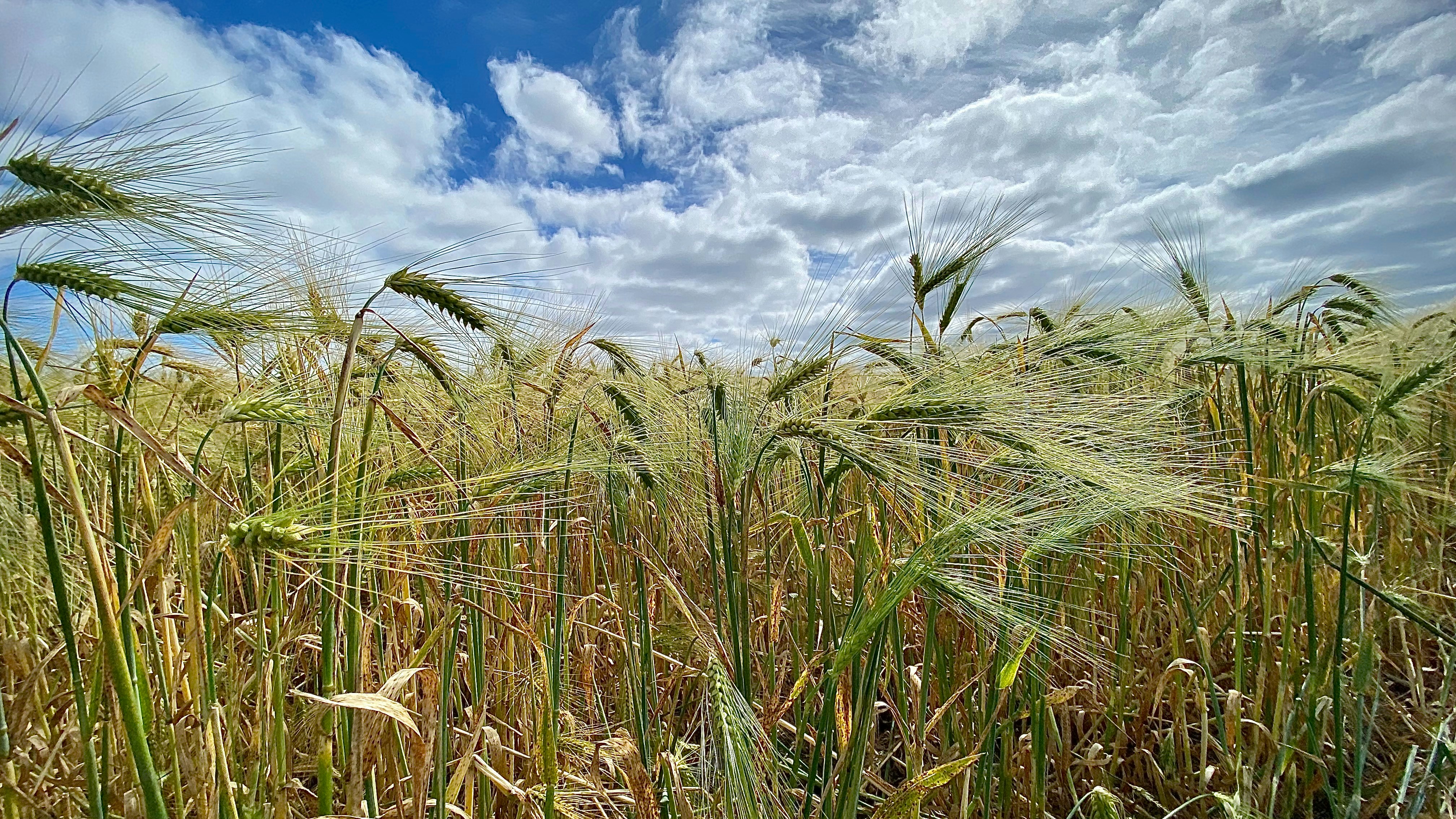 Photo by photographybyraffaele