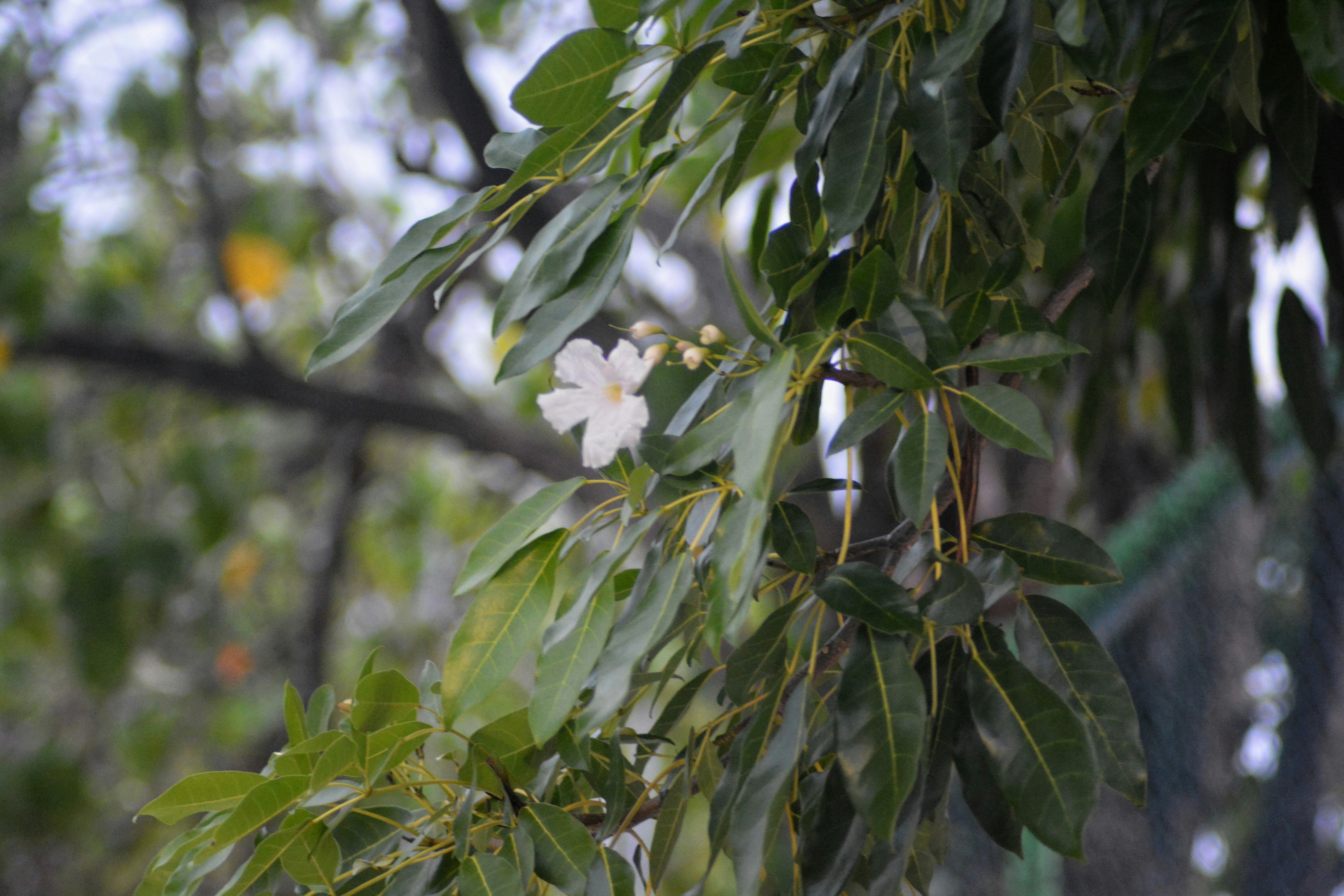 Photo by iamsupergilbert