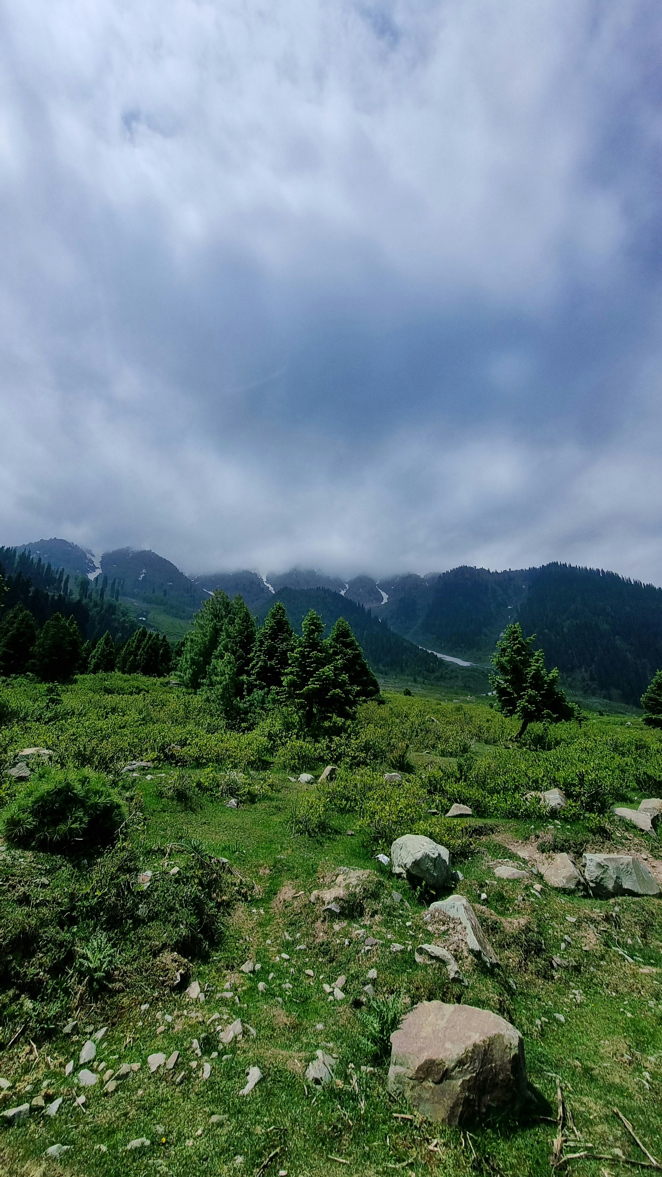 Photo by subhrajitck14