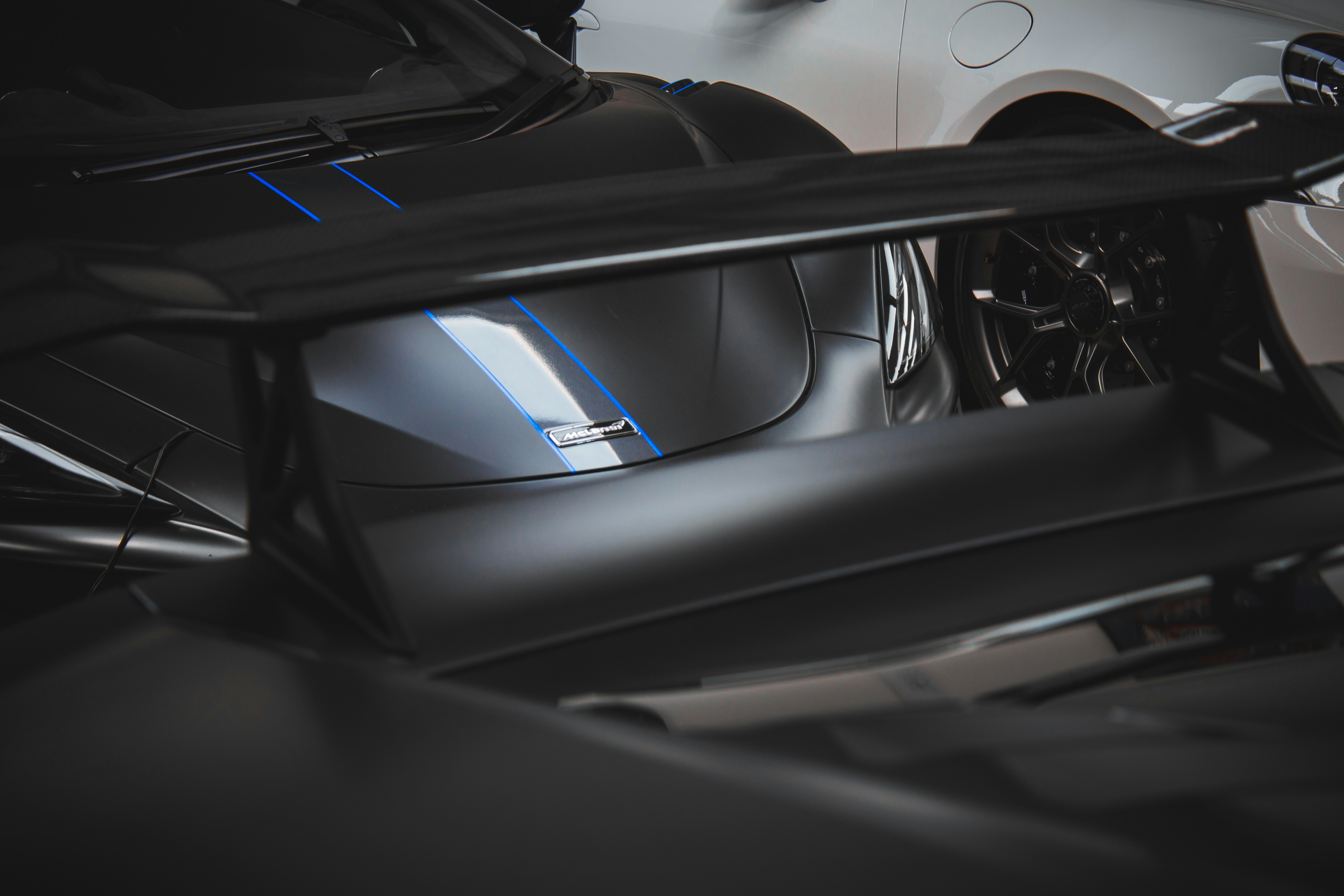 Photo by linxphotography