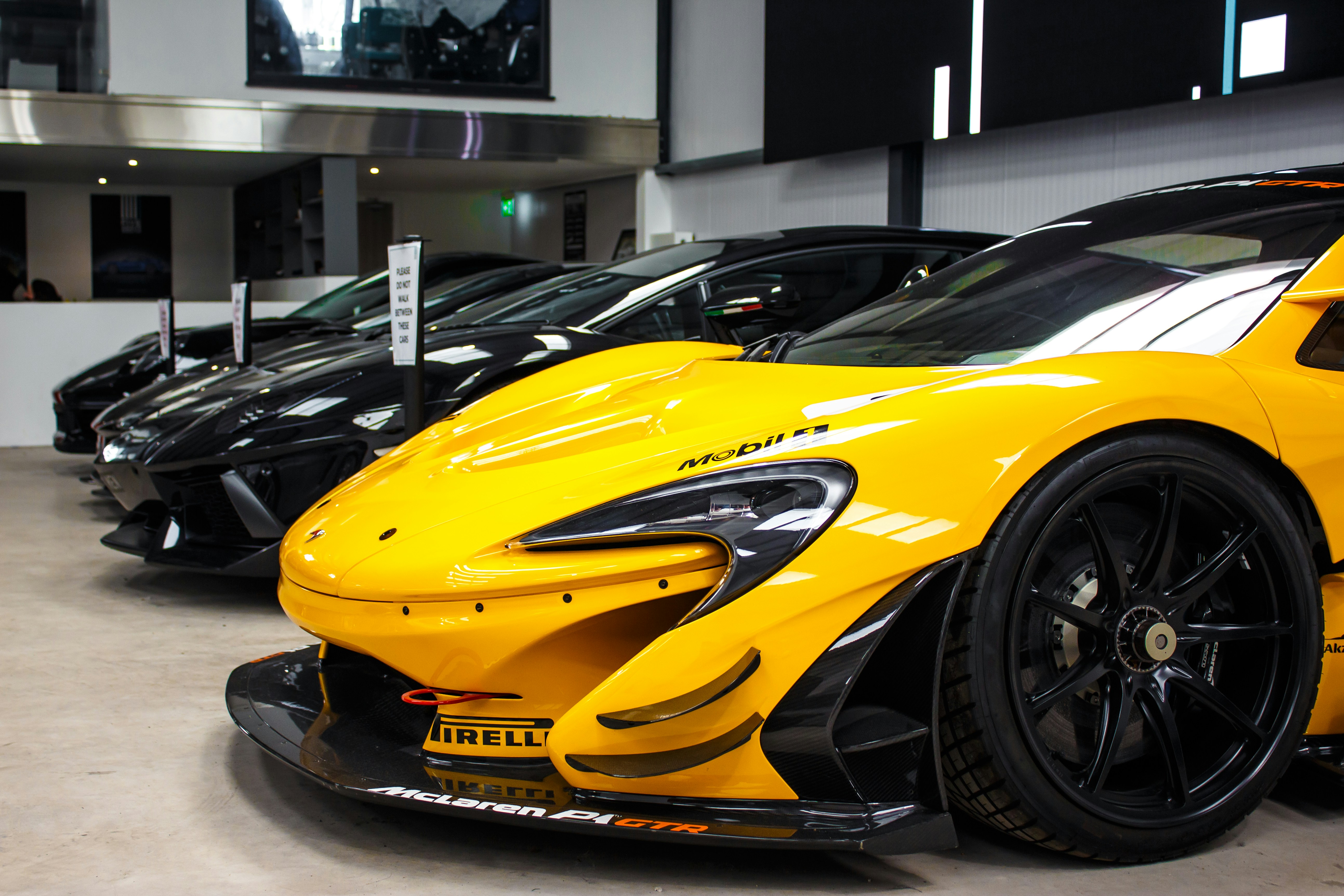 Photo by linxphotography