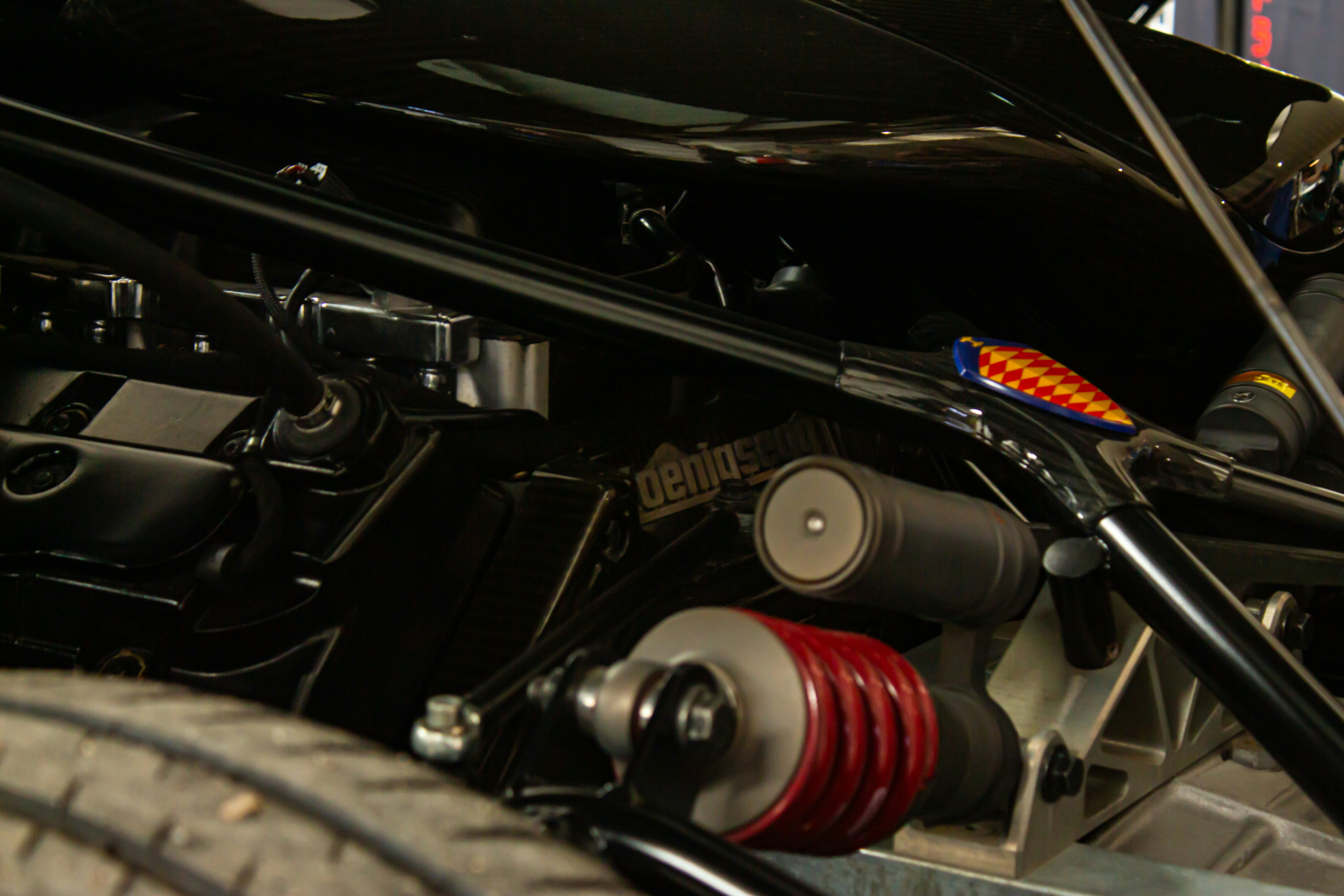 Photo by linxphotography