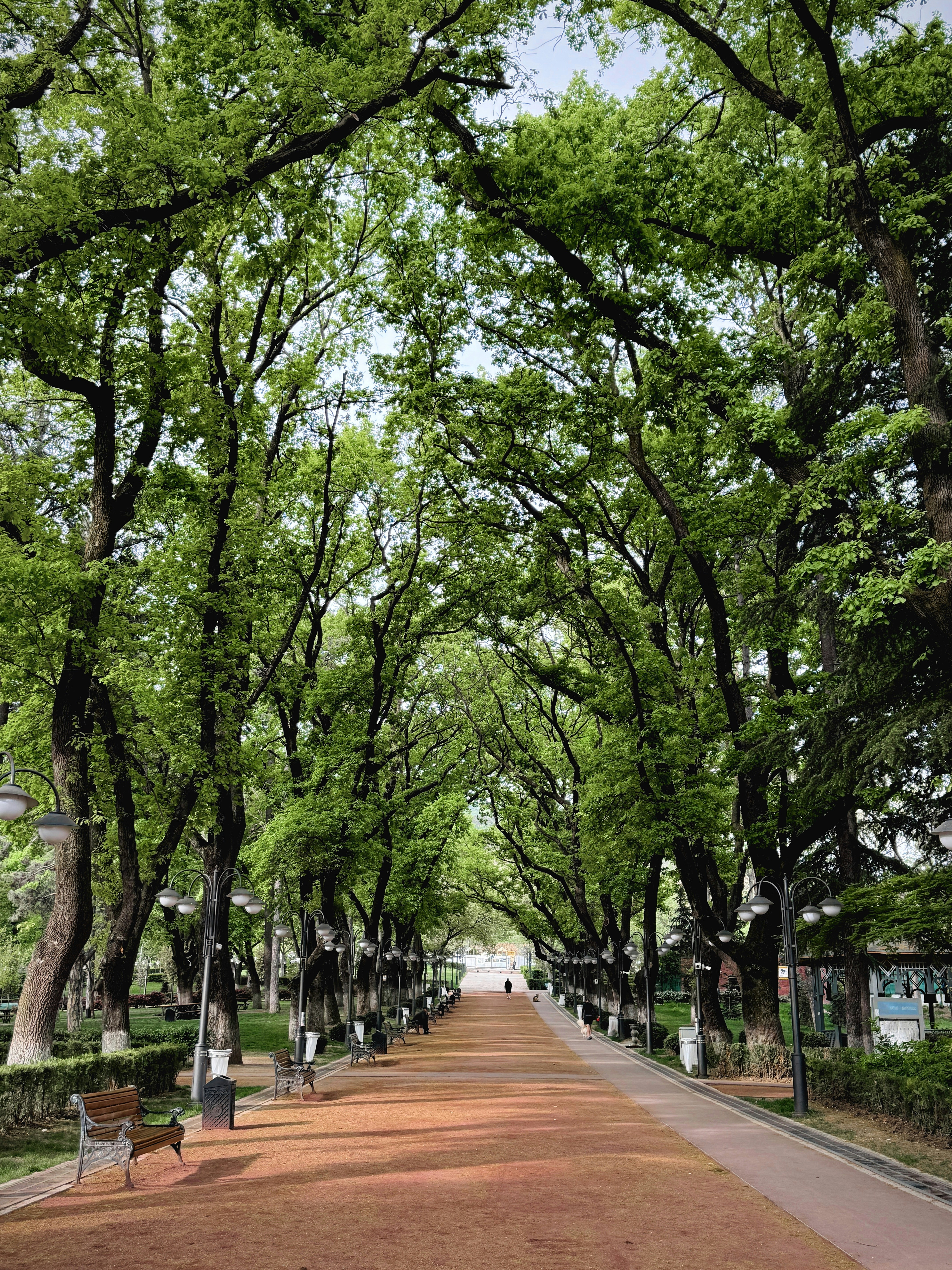 Photo by mrparalloid