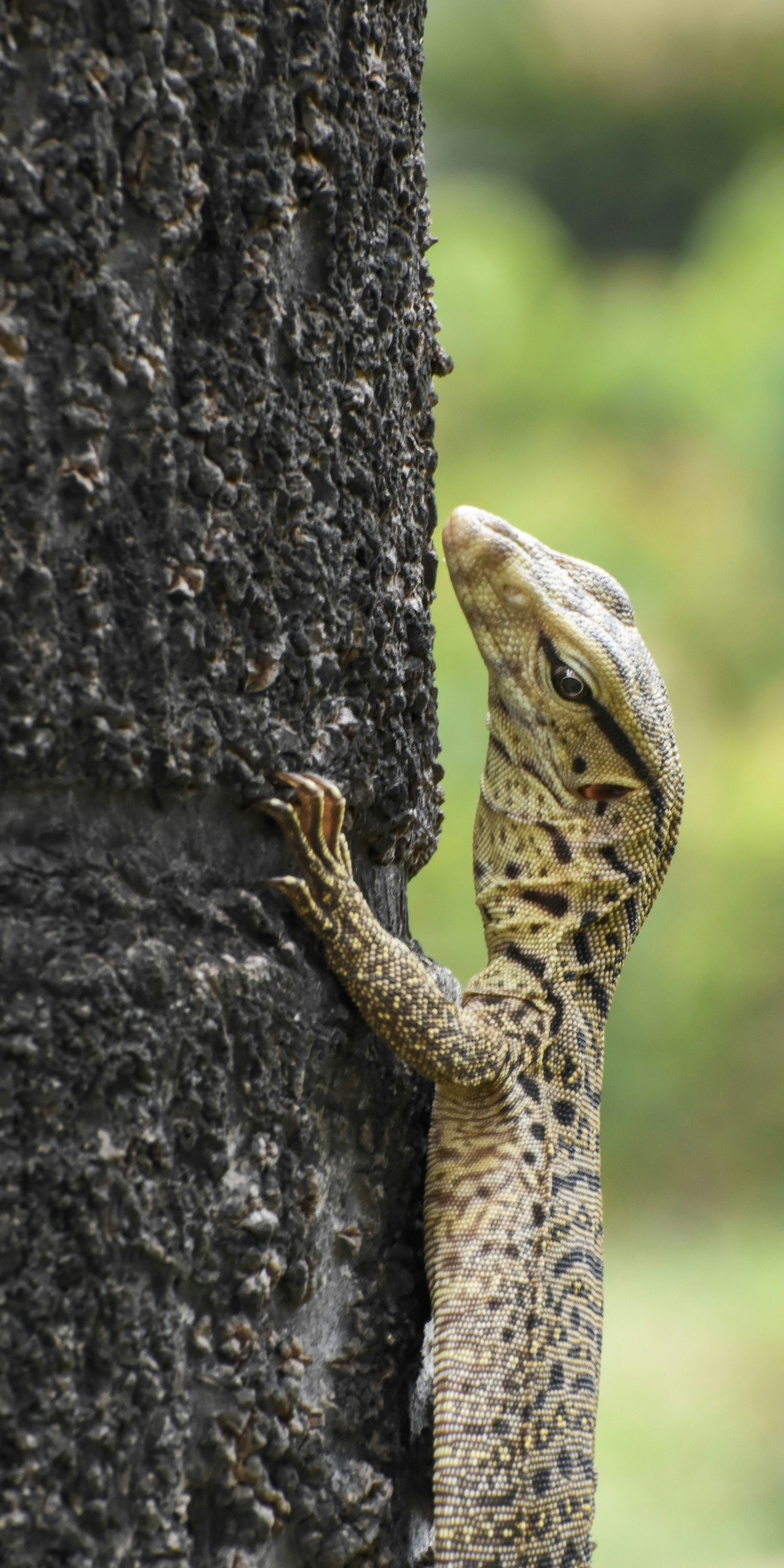 Photo by jebinephrimraj_