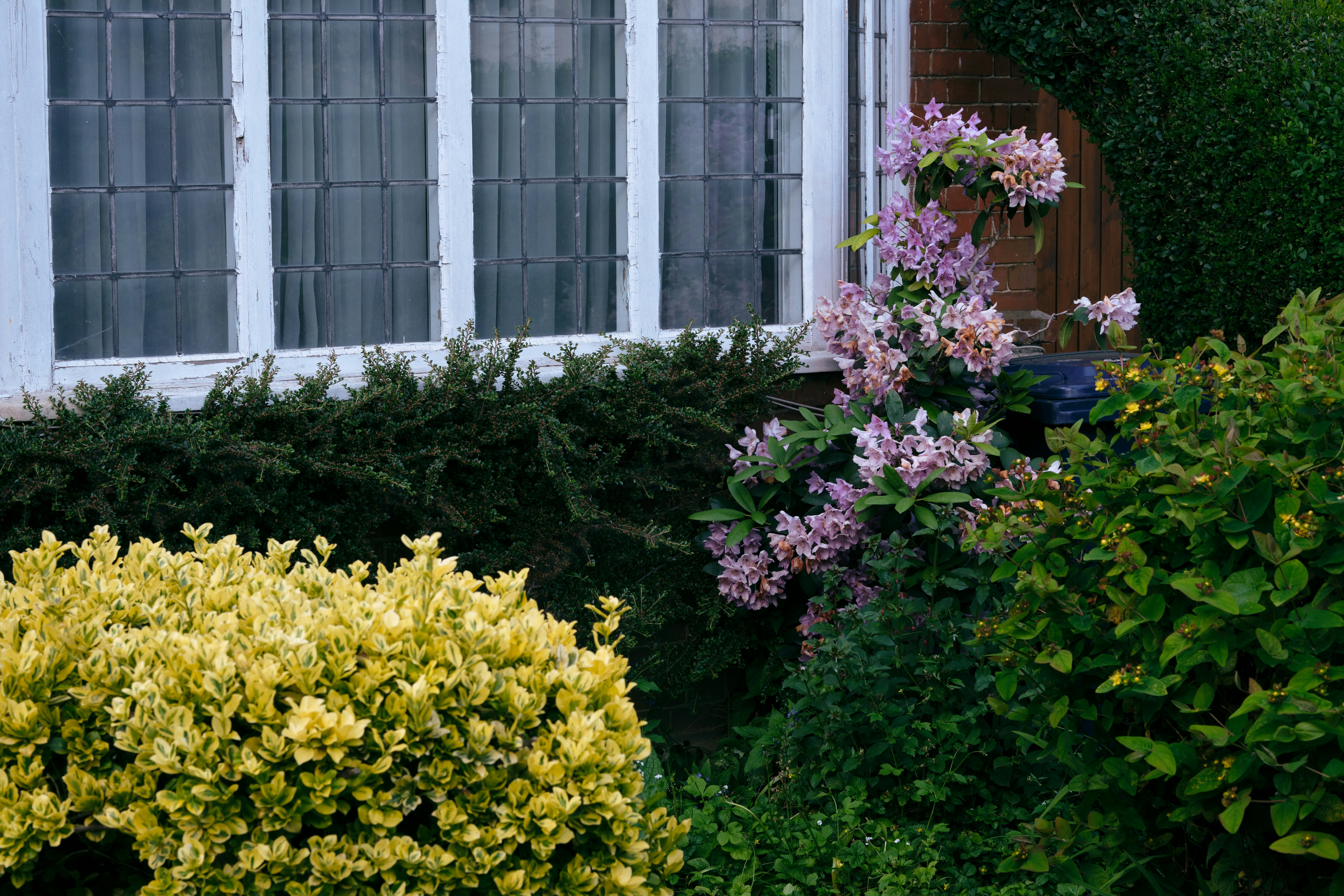 Photo by romanakash27