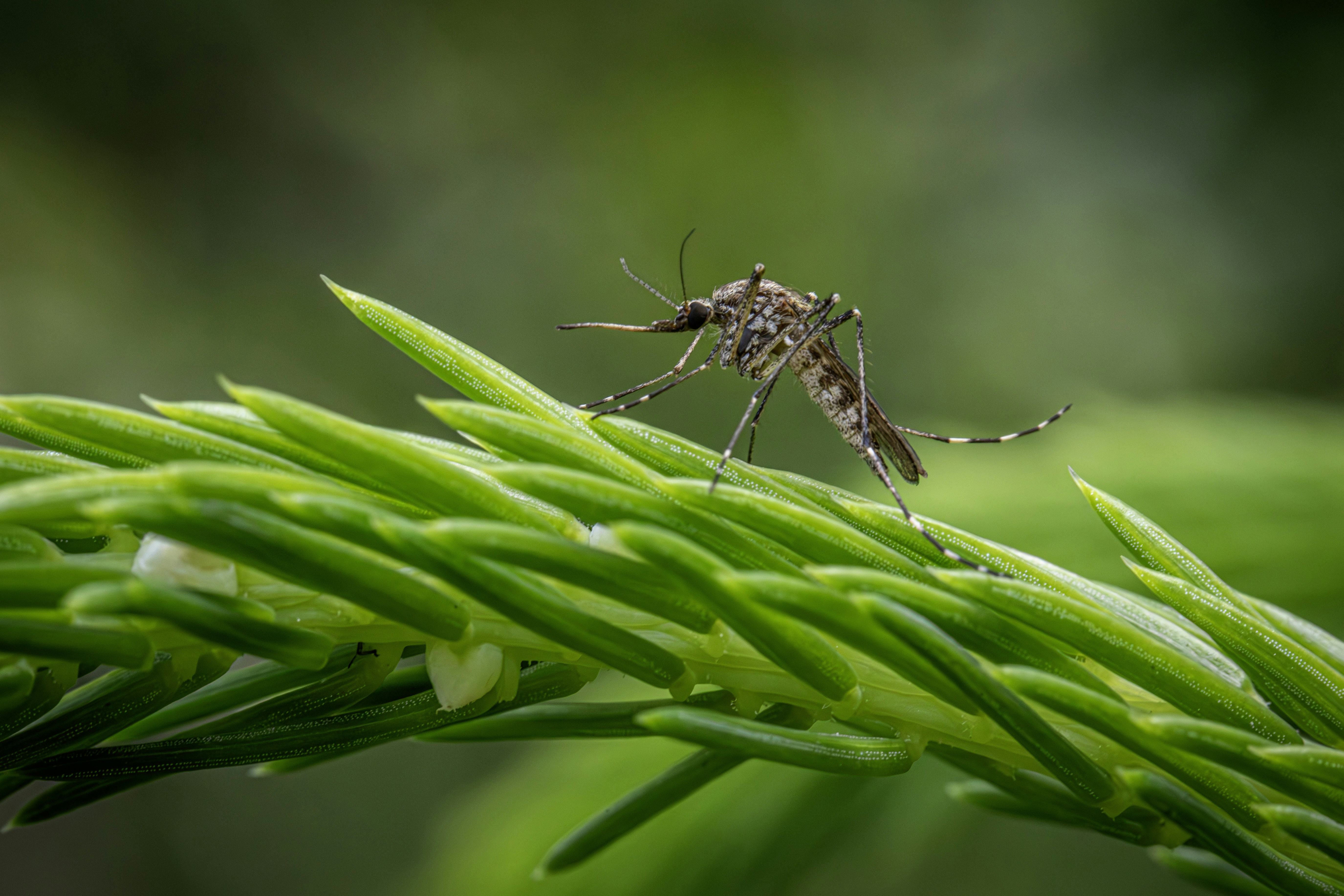 Photo by erik_karits