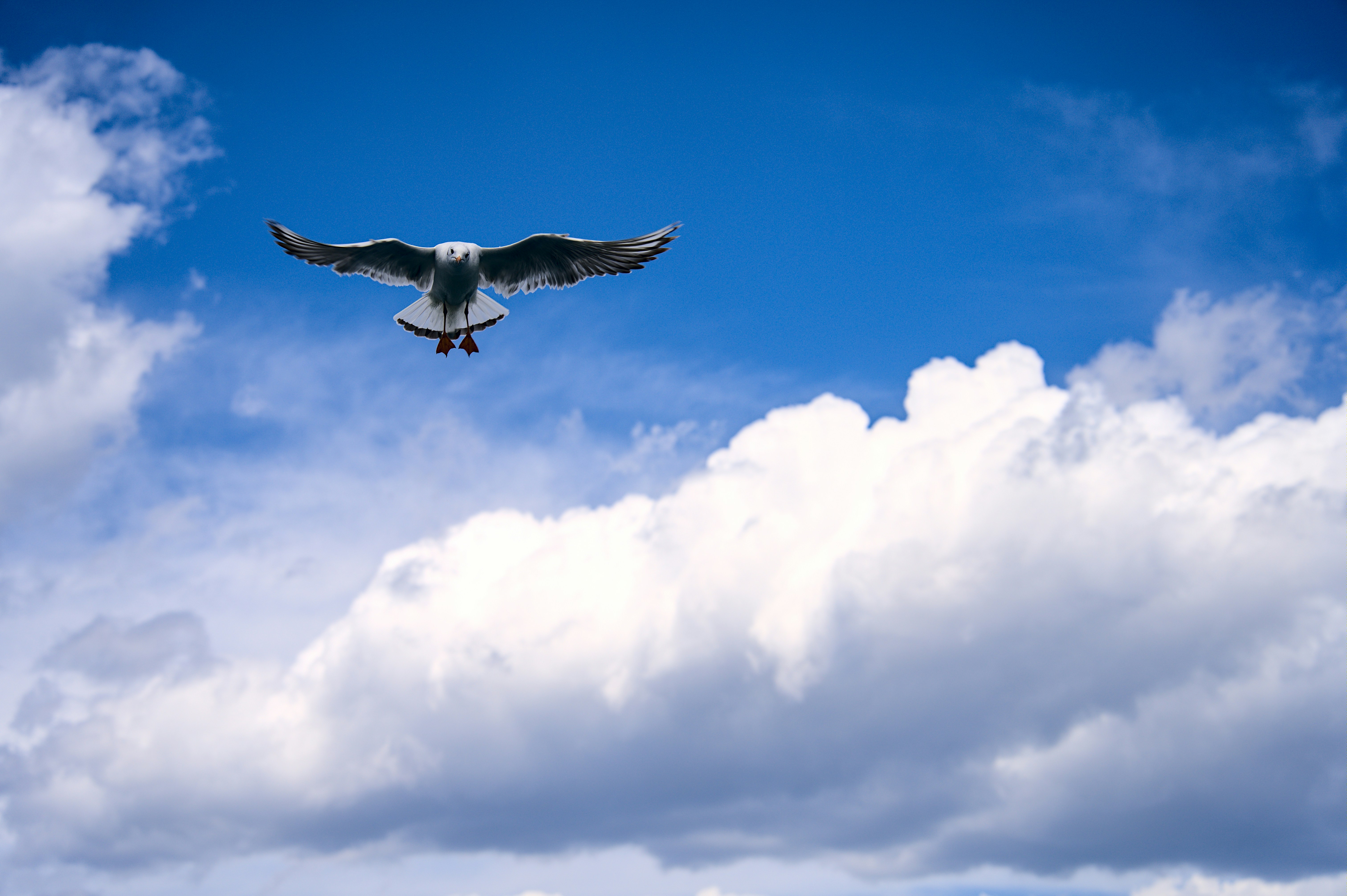 Photo by soffia_chen