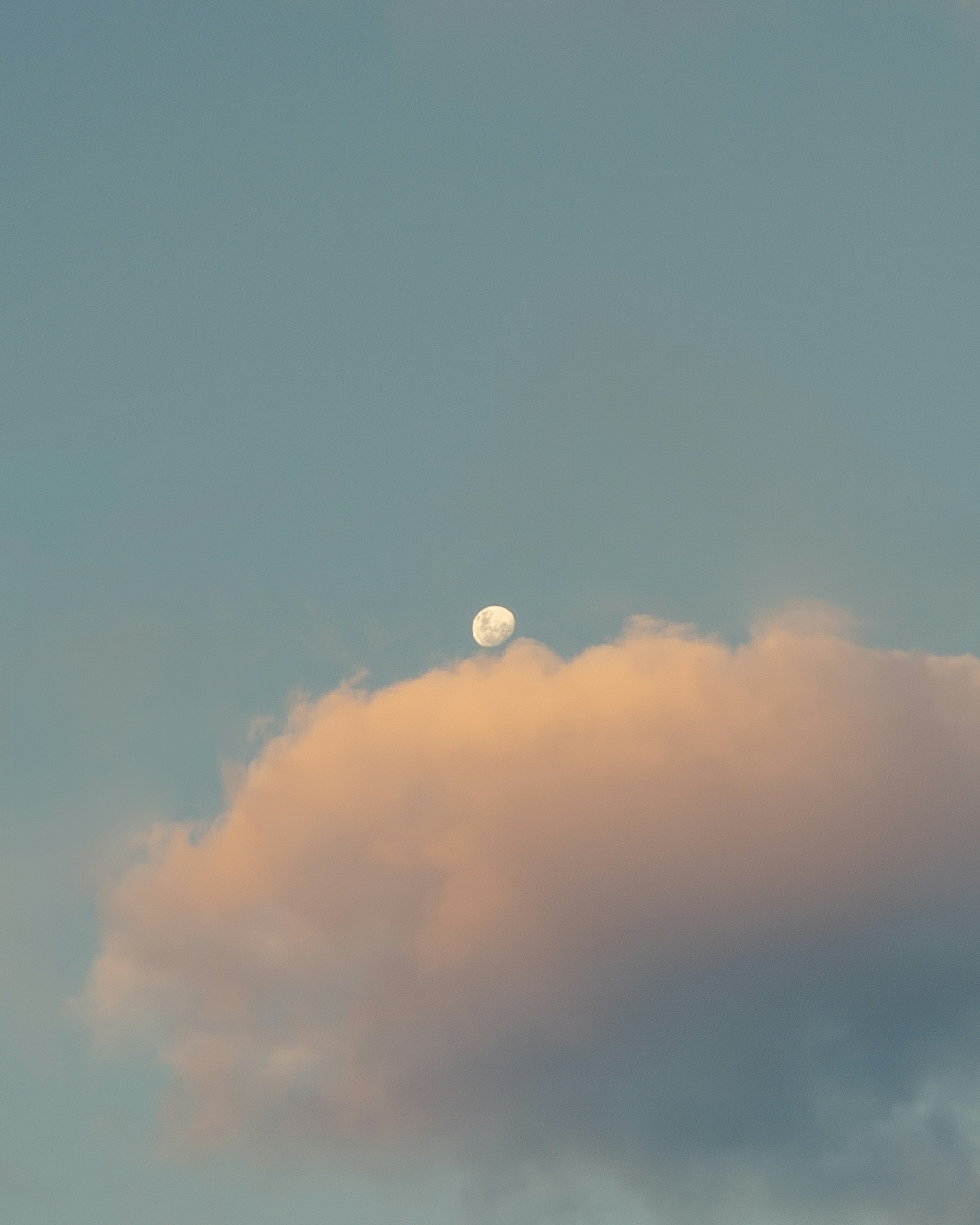 Photo by dariobonzi39