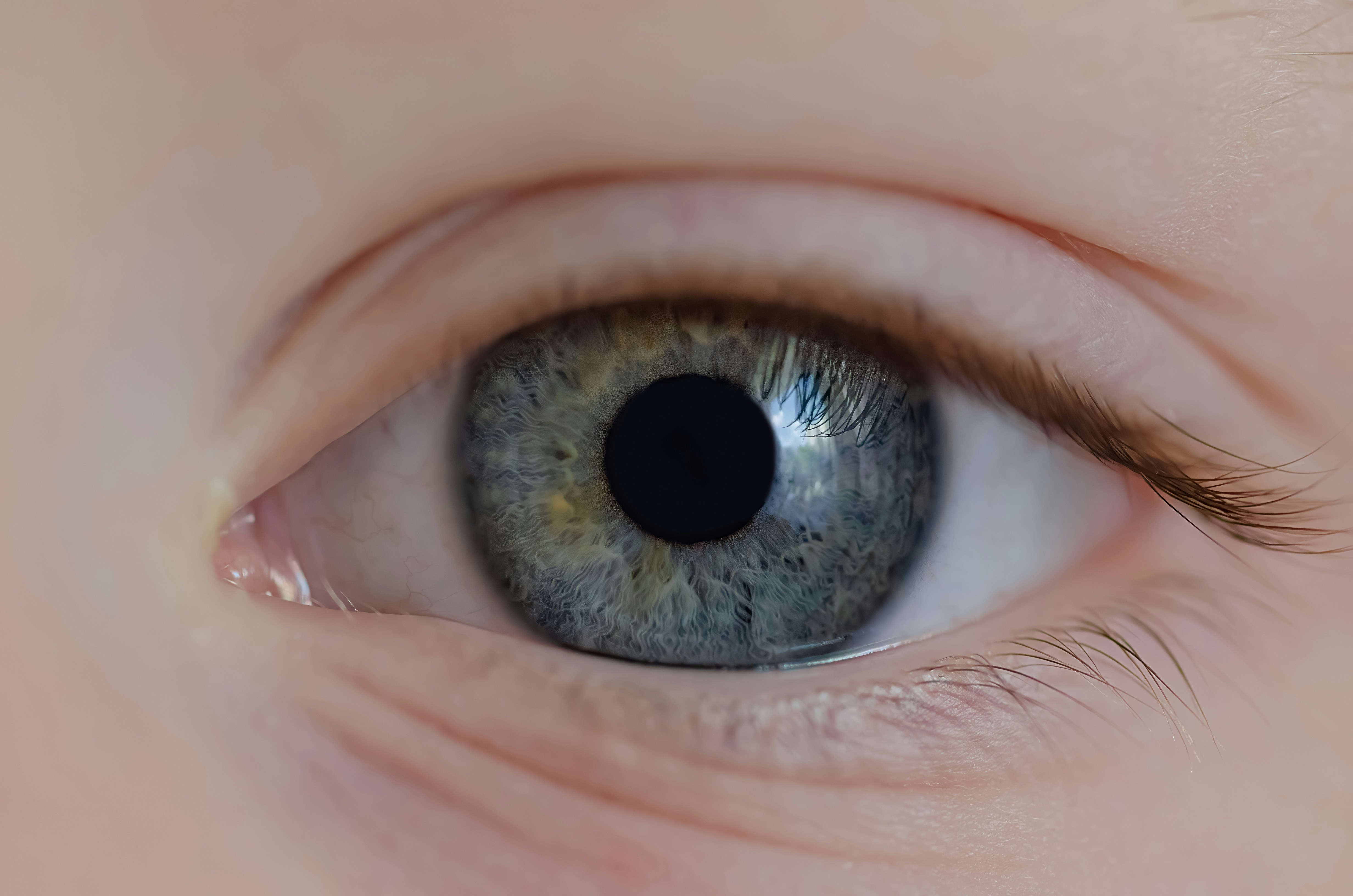 A close up of a child's blue eye