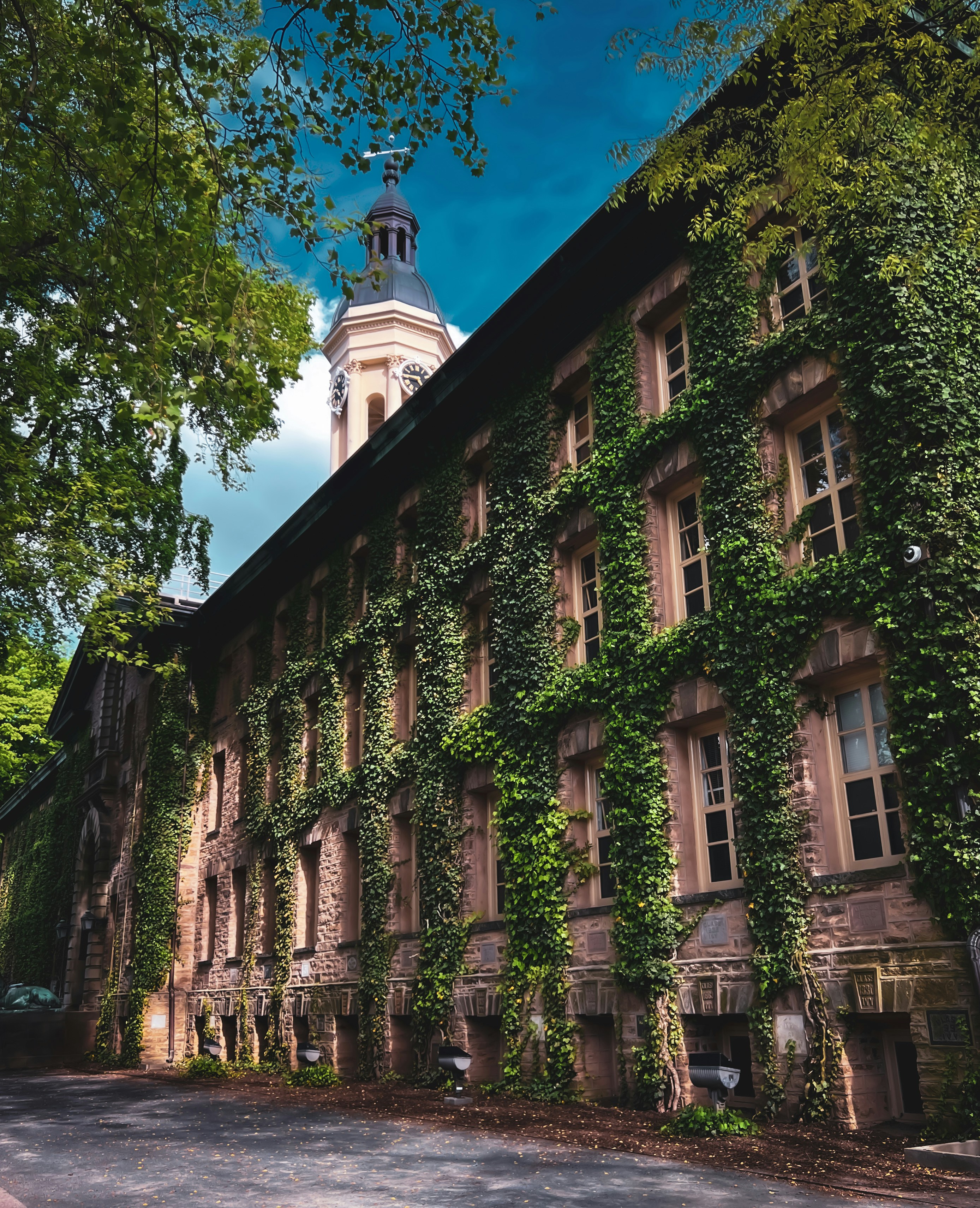 Photo by kojos_corner